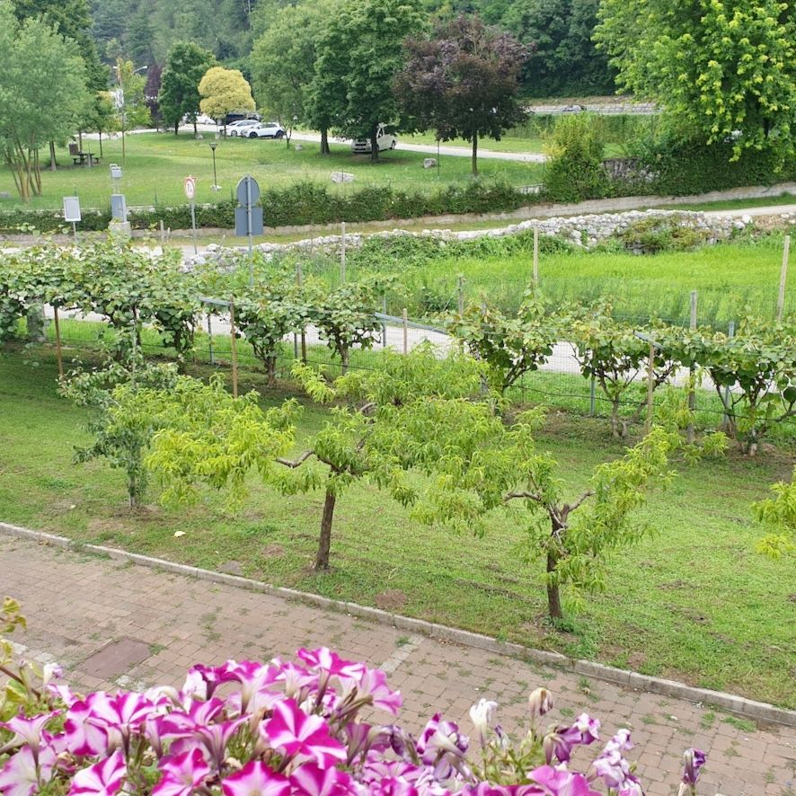 Vicino a tutto:  Arcobaleni, Vigne, Neve e il Lago a Mori, Trento