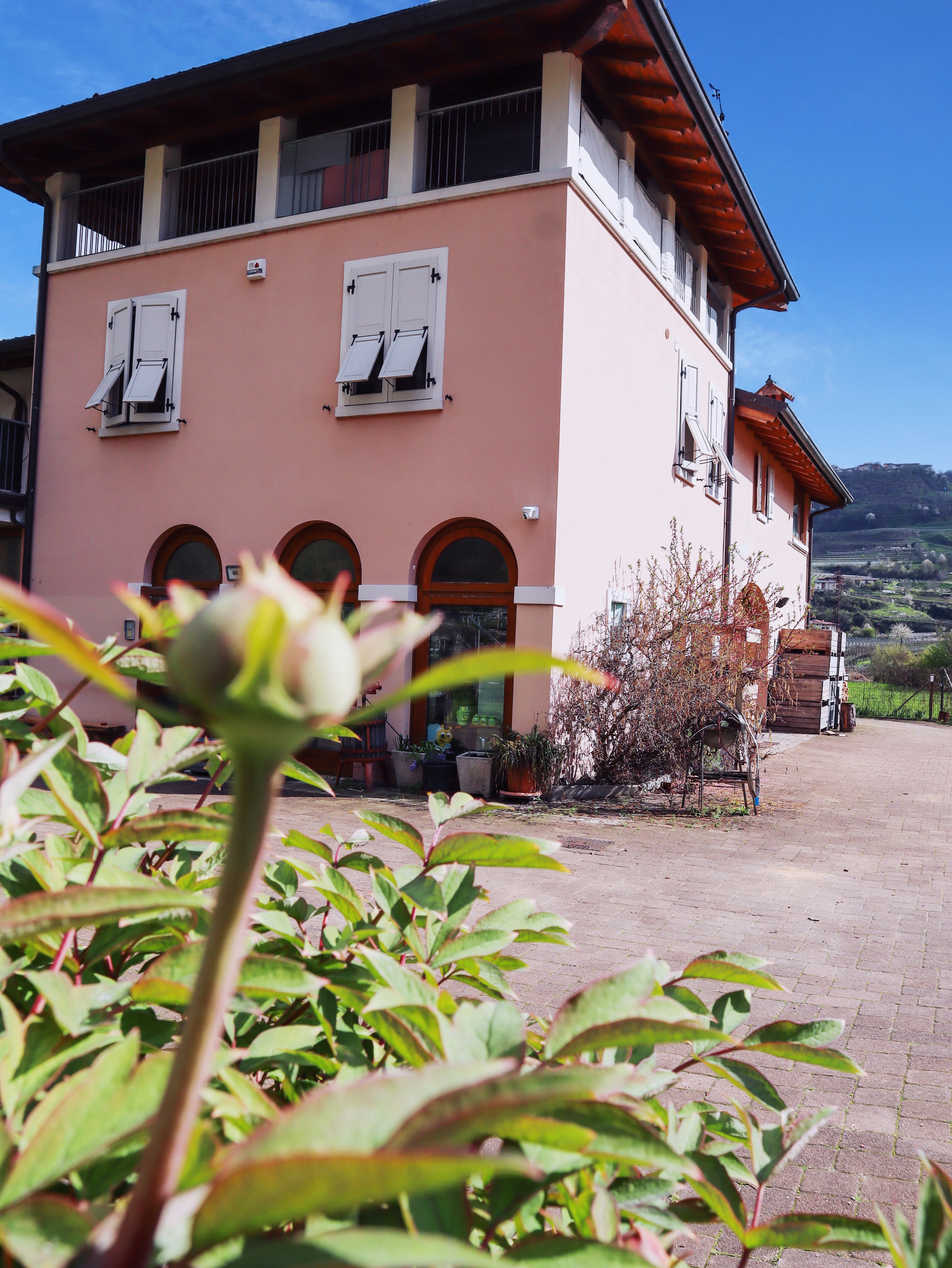 Vicino a tutto:  Arcobaleni, Vigne, Neve e il Lago a Mori, Trento