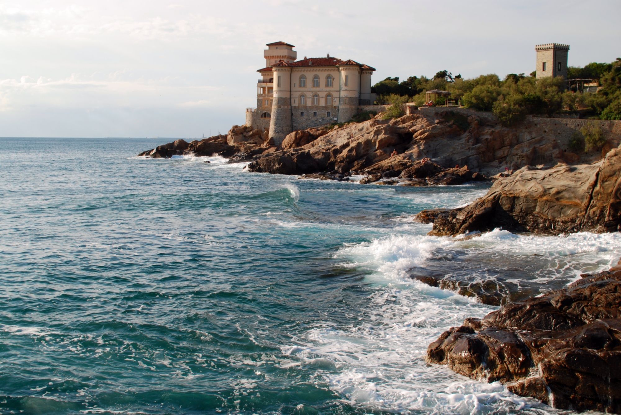 Casetta di legno immersa in un oliveto a Livorno