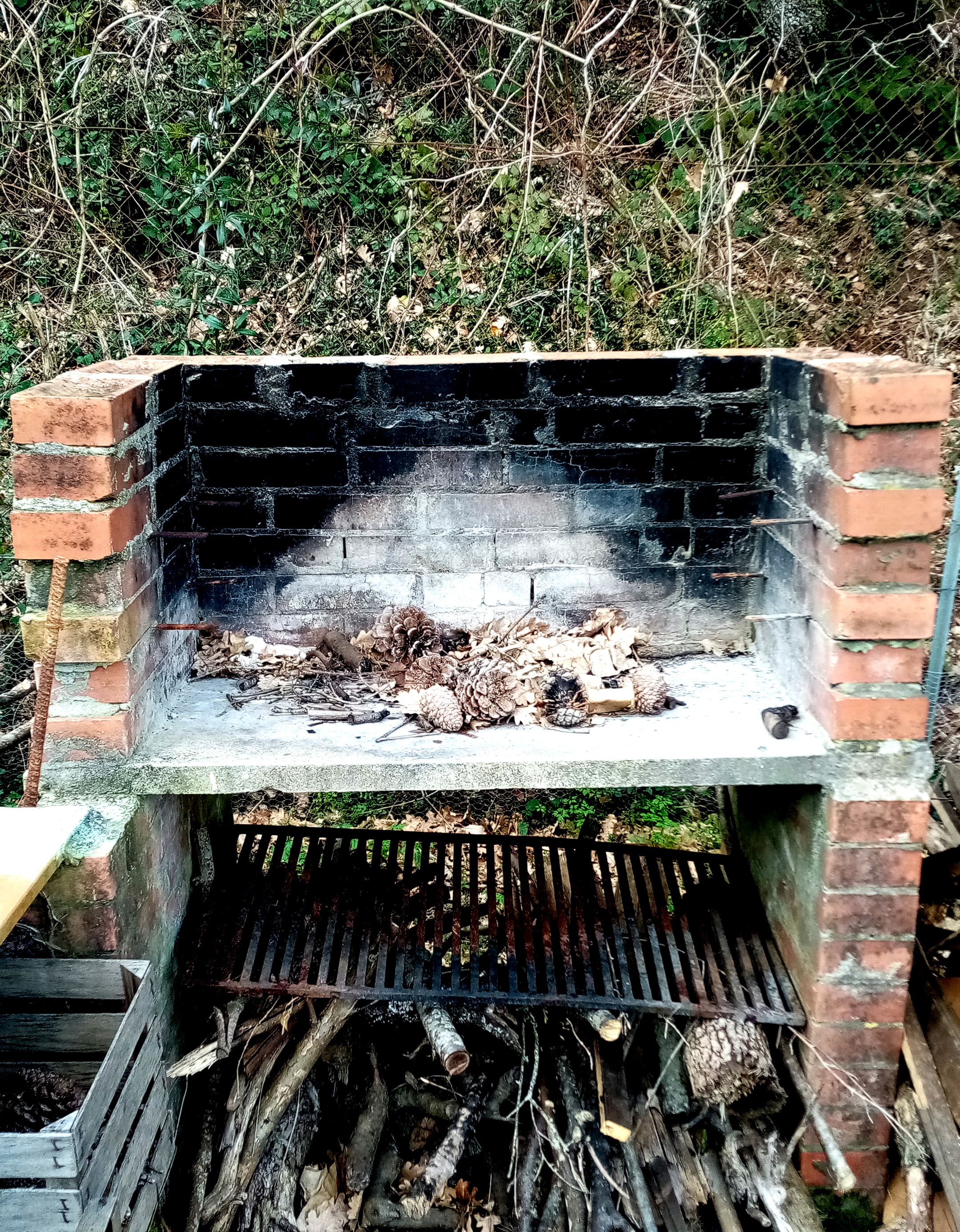 Casetta di legno immersa in un oliveto a Livorno