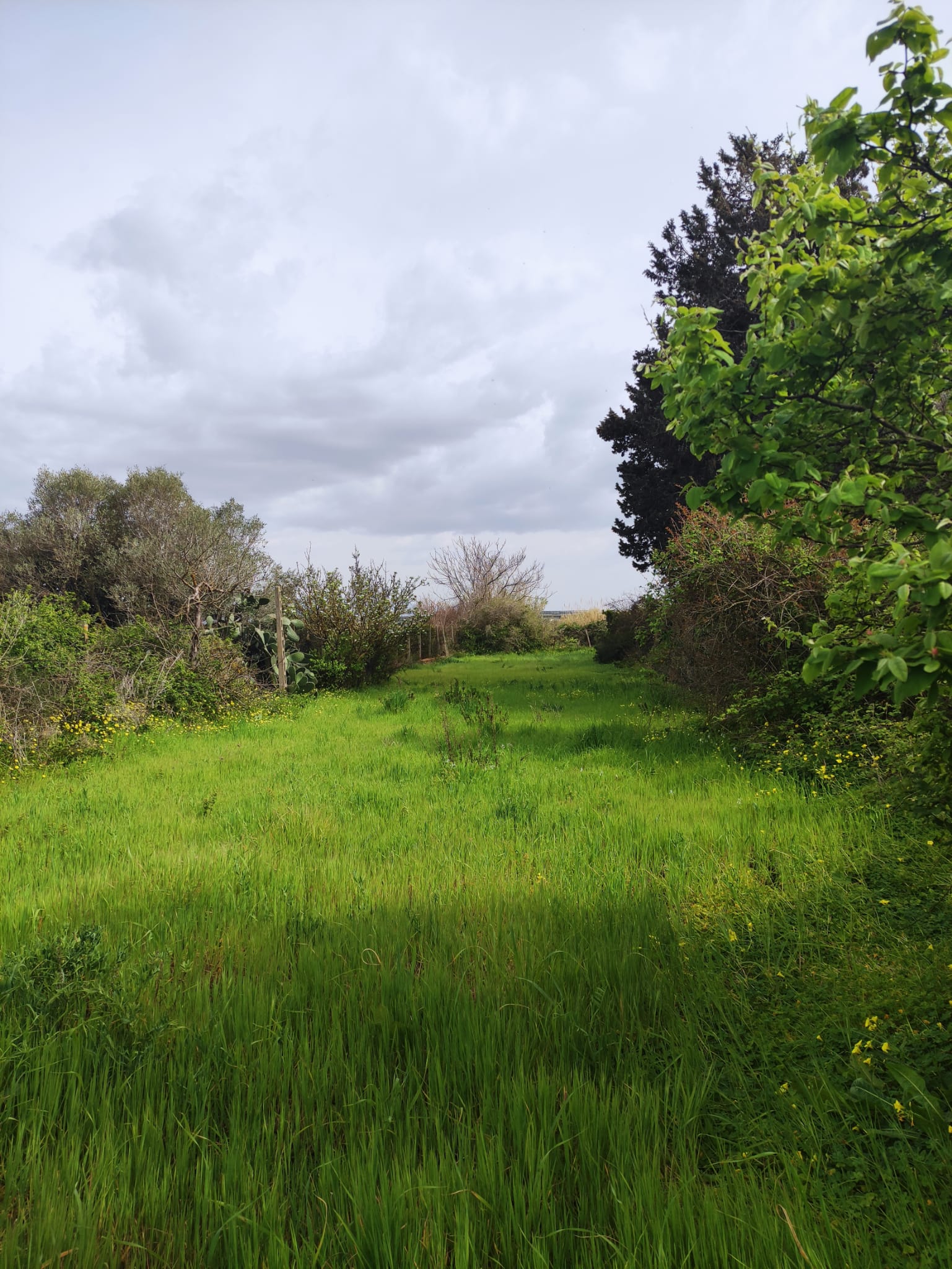 Campeggio sul mare di Oristano