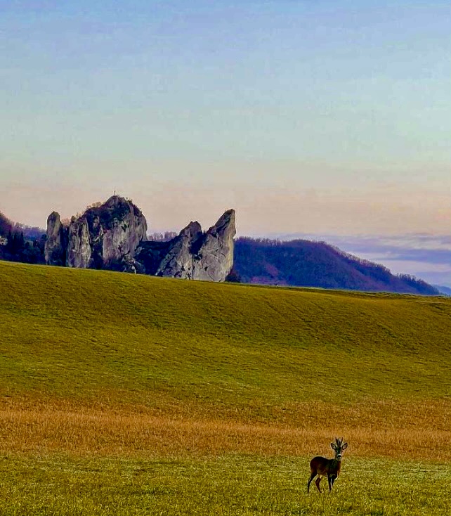 In Tenda e Camper nel Parco Regionale Sassi di Rocca Malatina a Modena