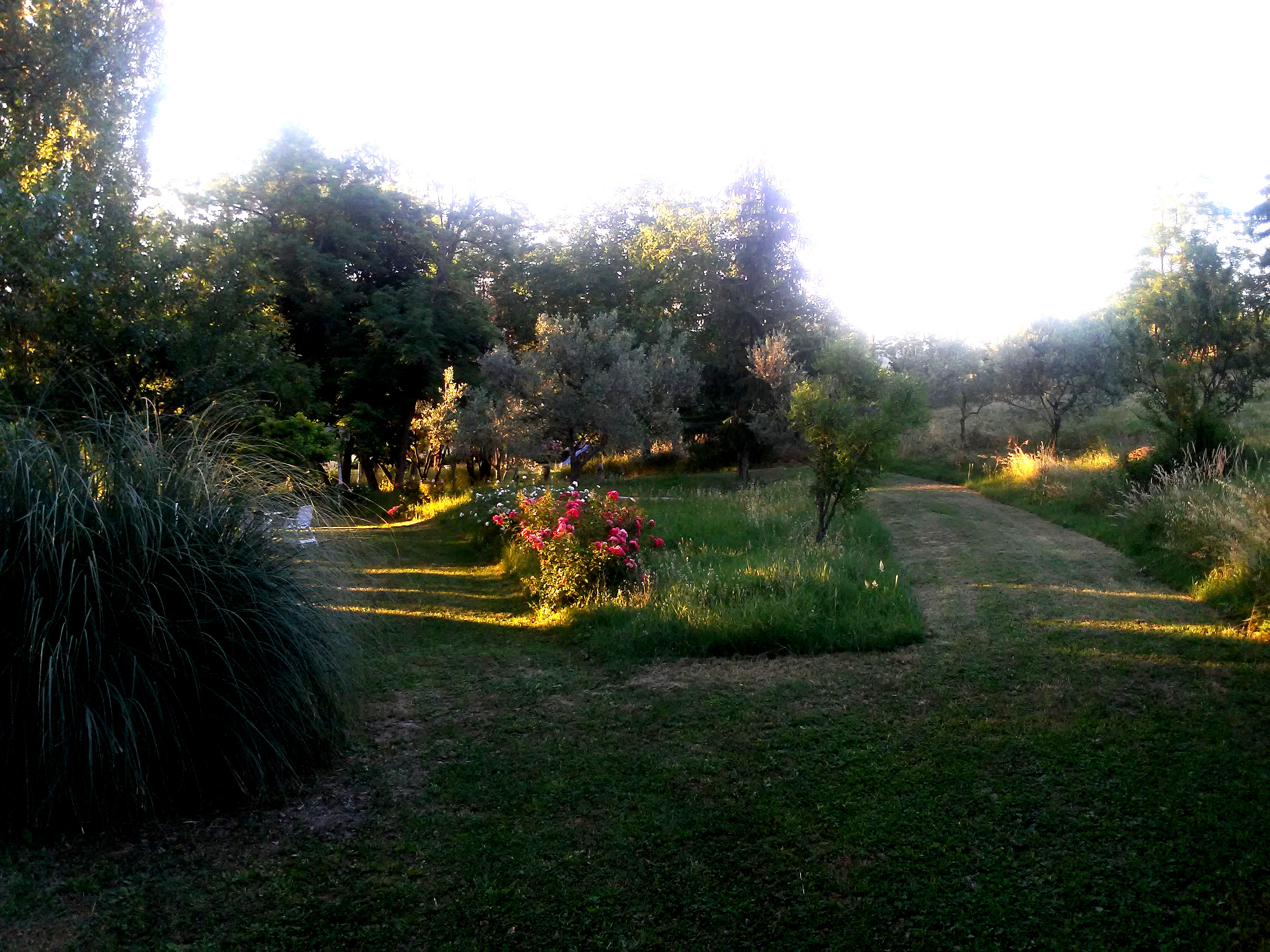 Immersi nella natura in provincia di Rimini