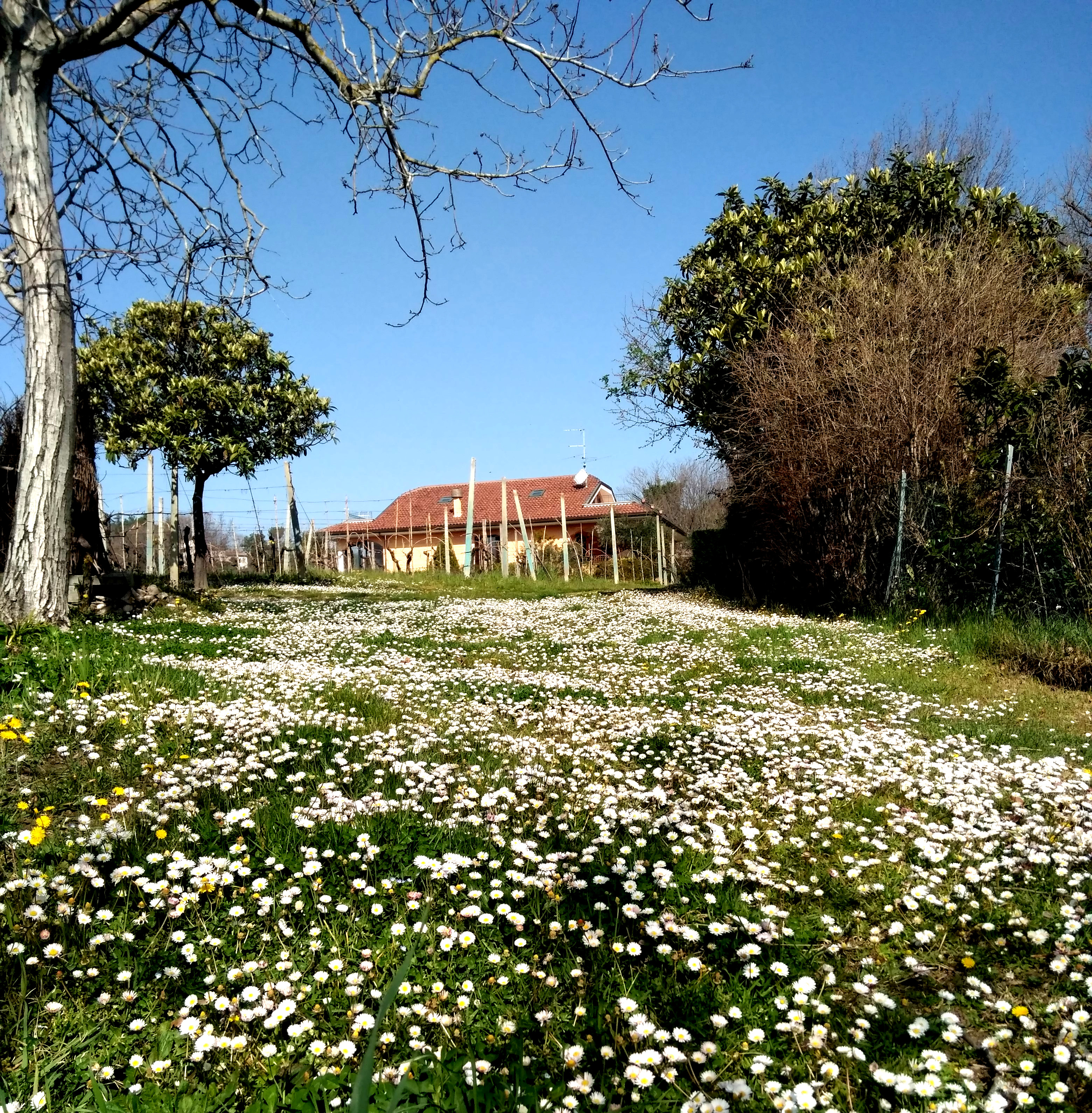 Vacanze in collina a 15 km dal mare di Rimini