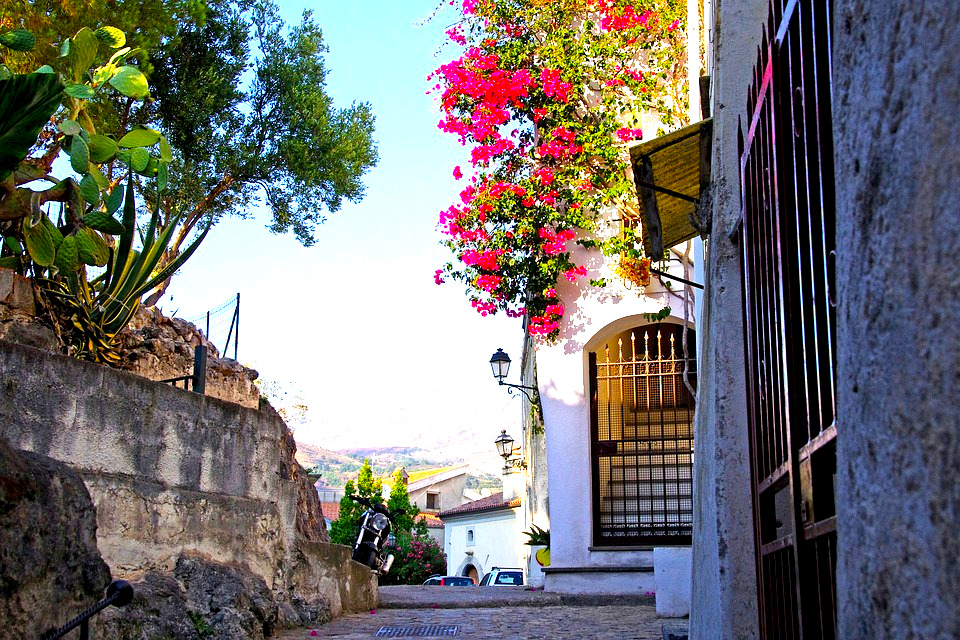 Piazzola fra gli Ulivi secolari