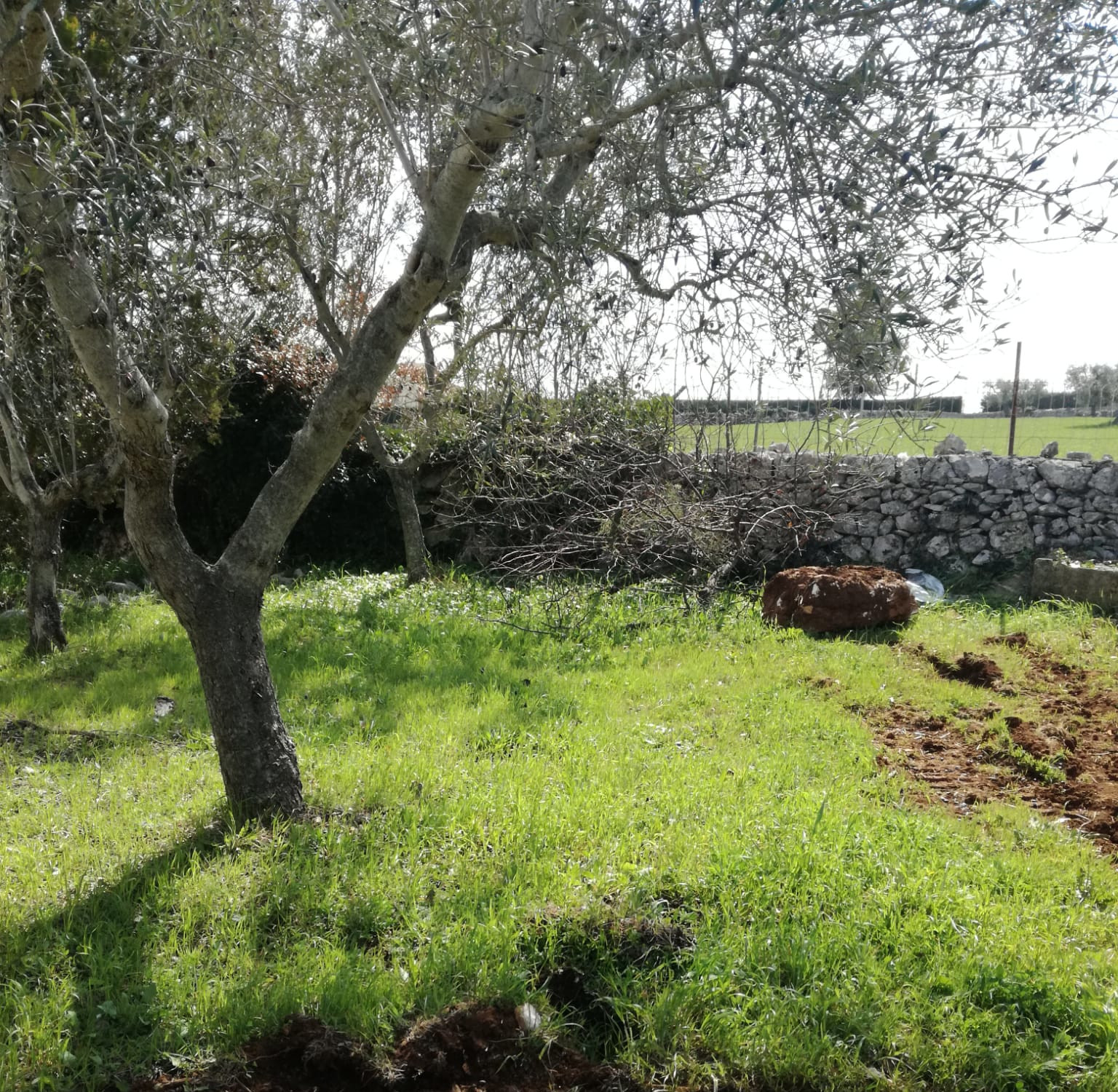 Pernotta con la tenda nella valle D'Itria