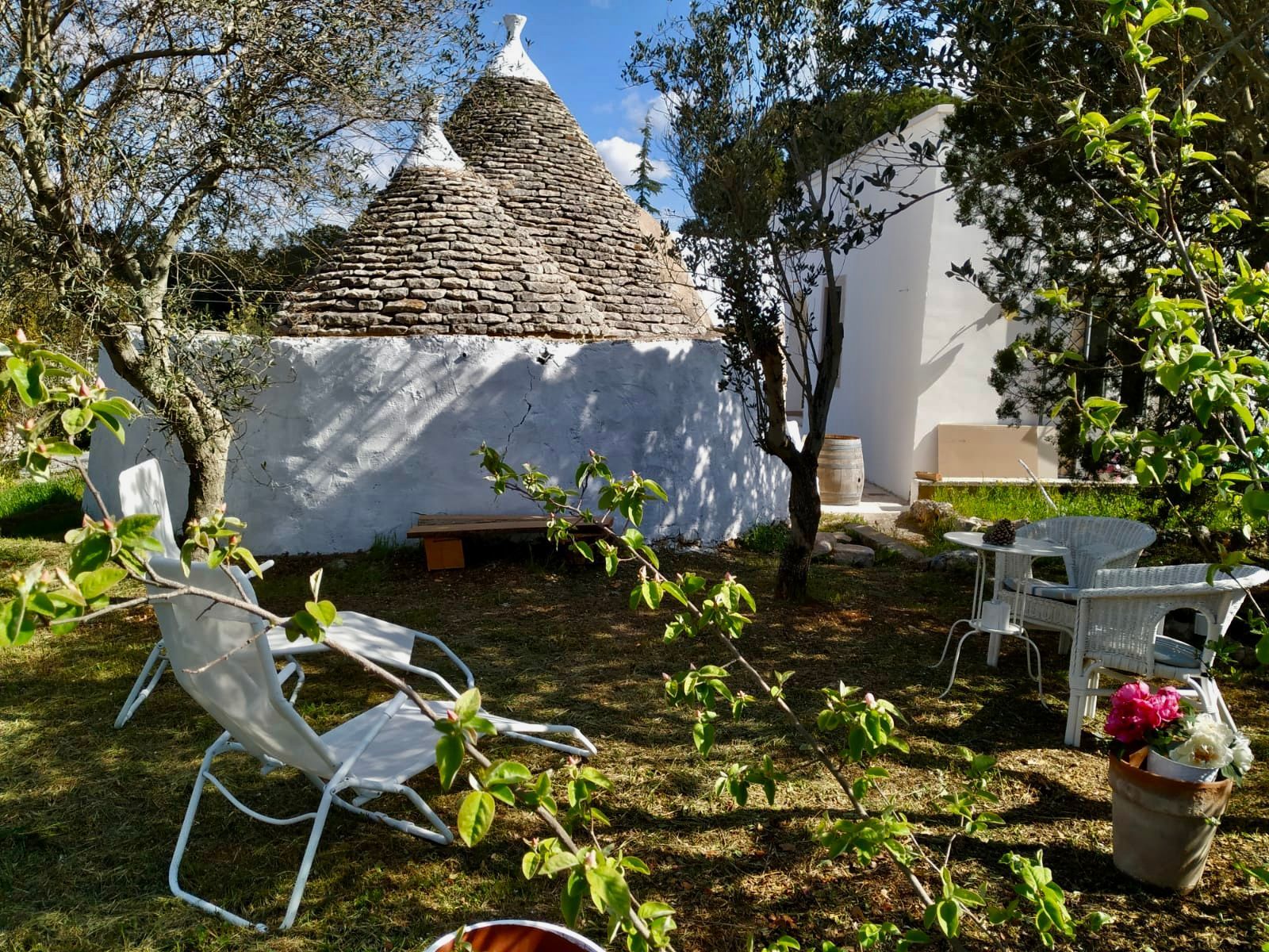 Notte nel Trullo: Il fascino incantevole della Puglia