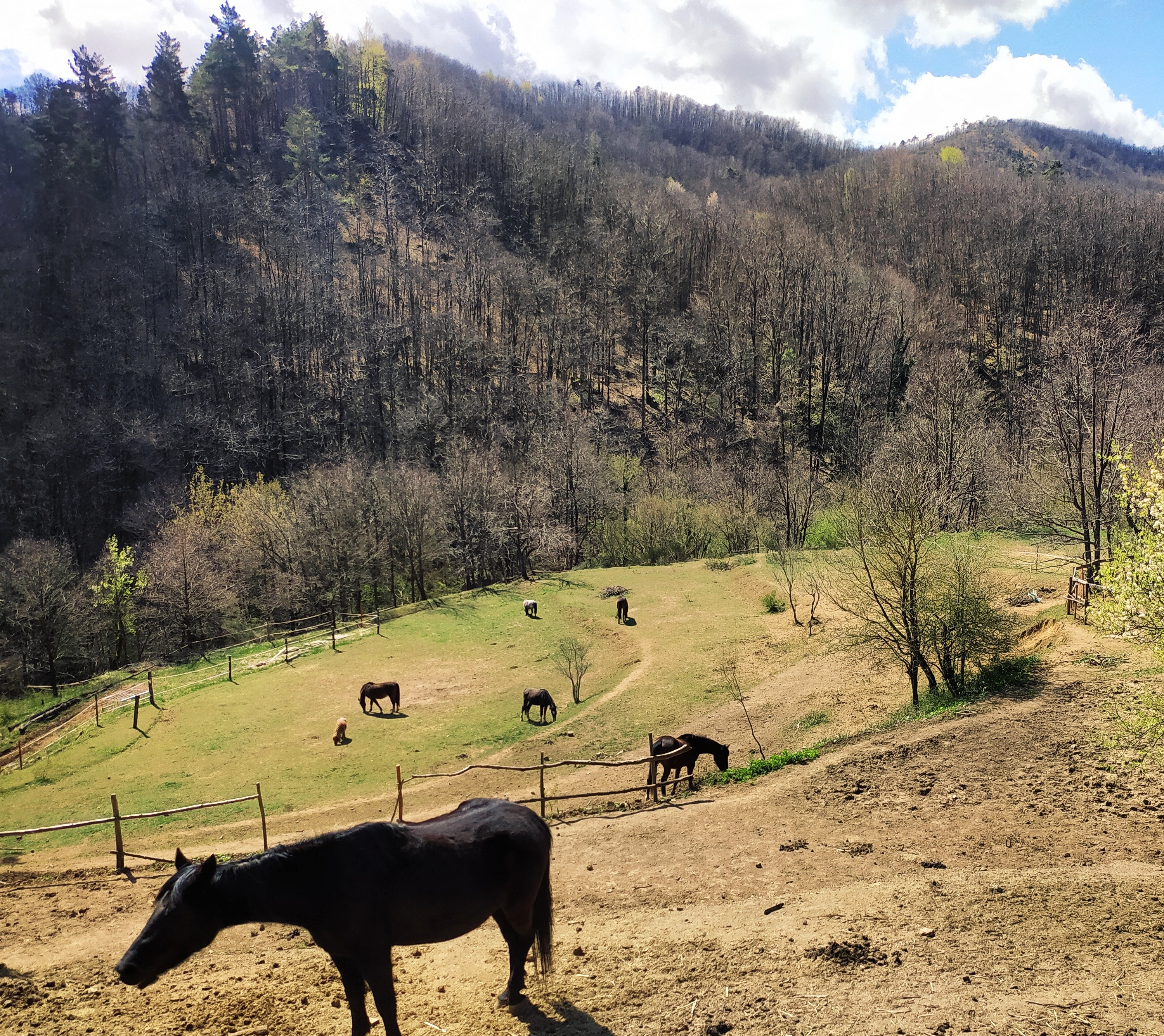 Camping nella Foresta della Deiva