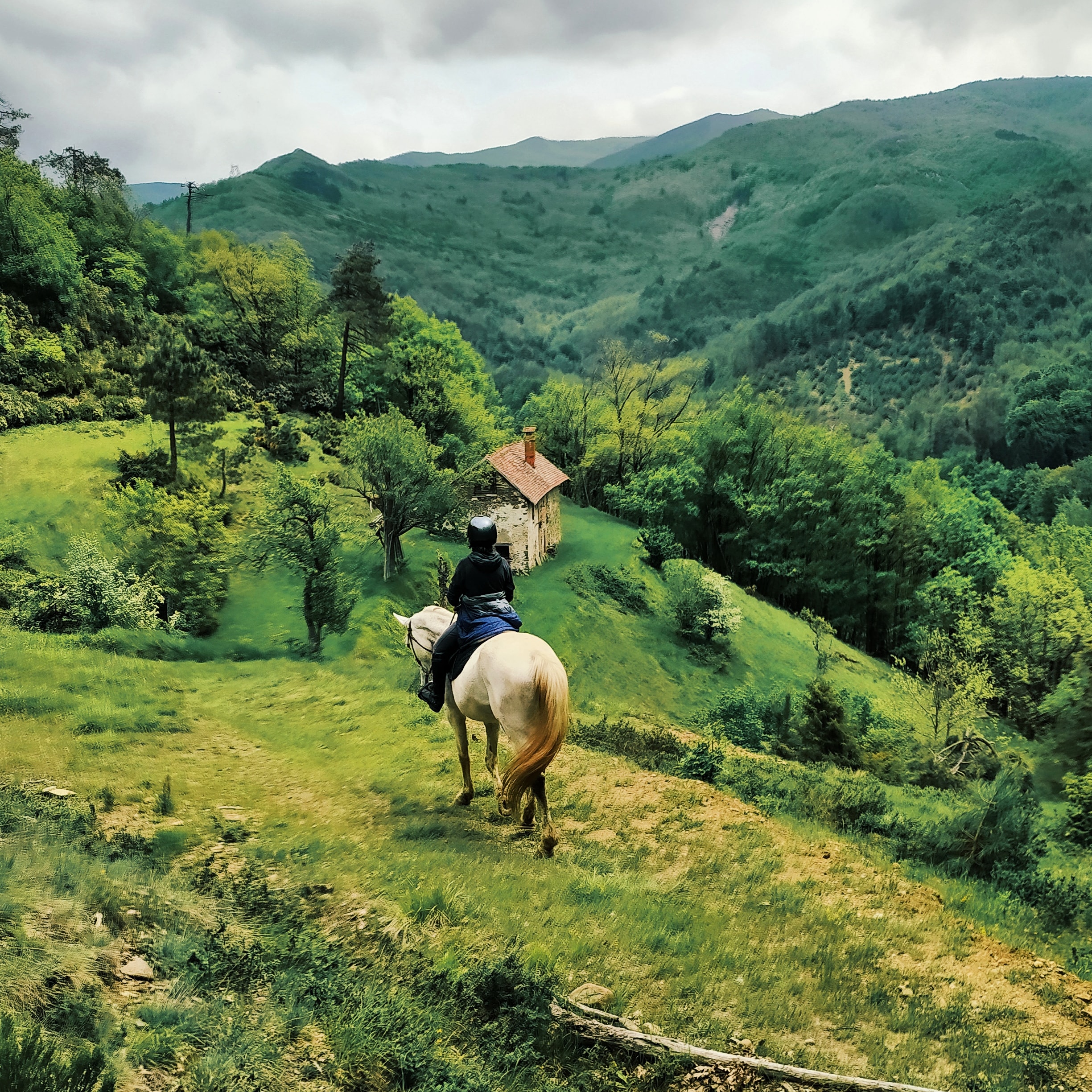 Camping nella Foresta della Deiva