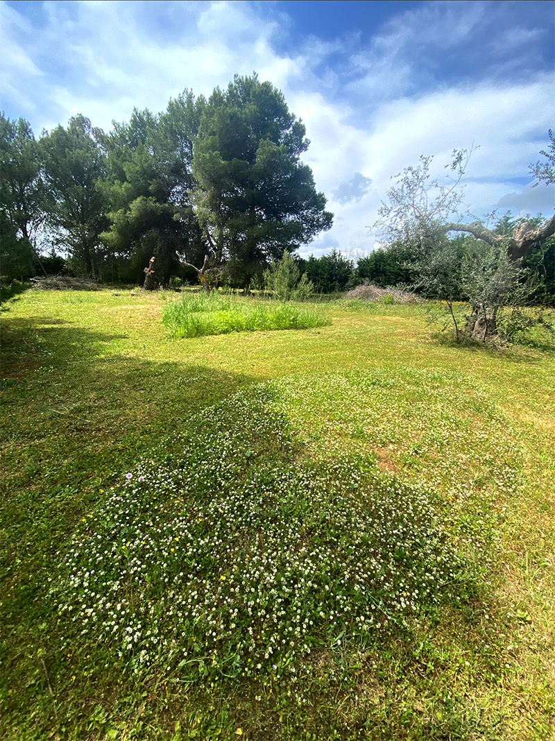 In tenda nel Salento