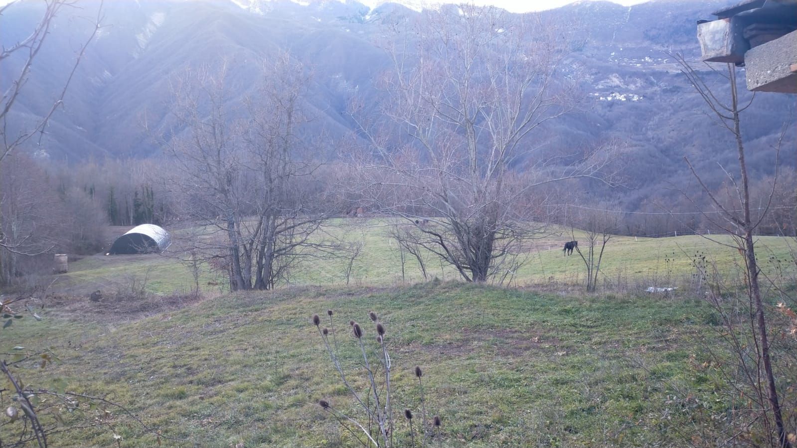 Camp in ValTrebbia