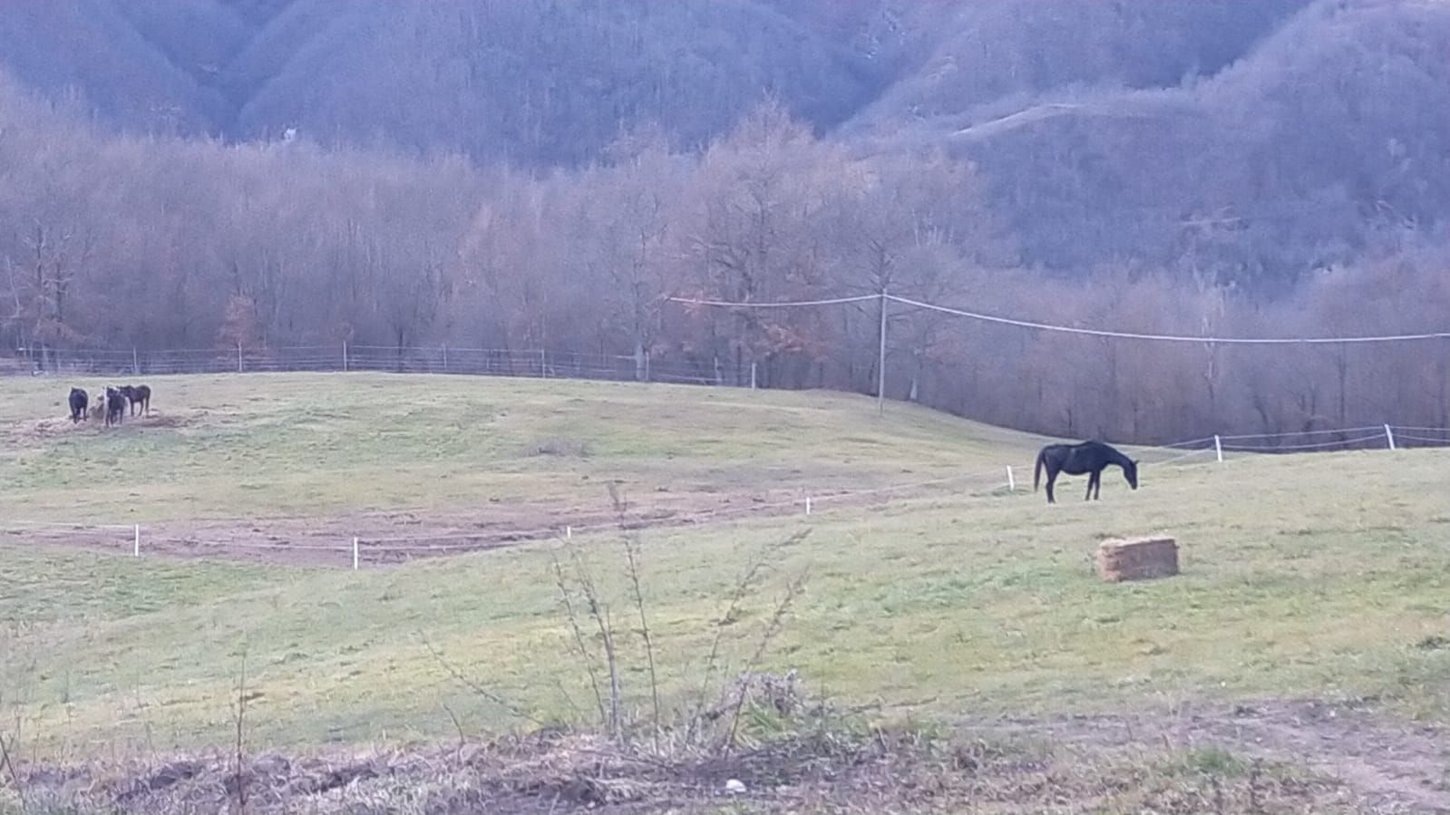 Camp in ValTrebbia