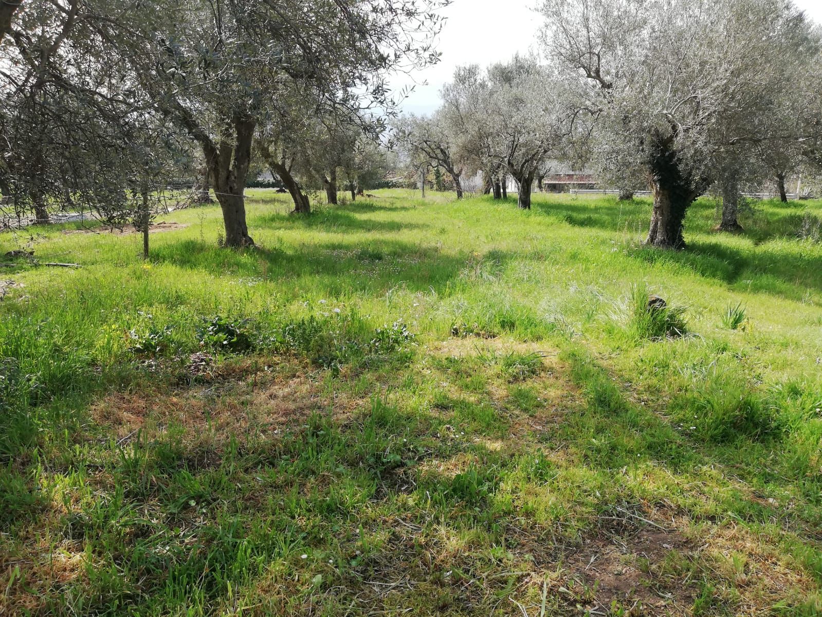 Agri Trattoria La Fattoria del Melopiano