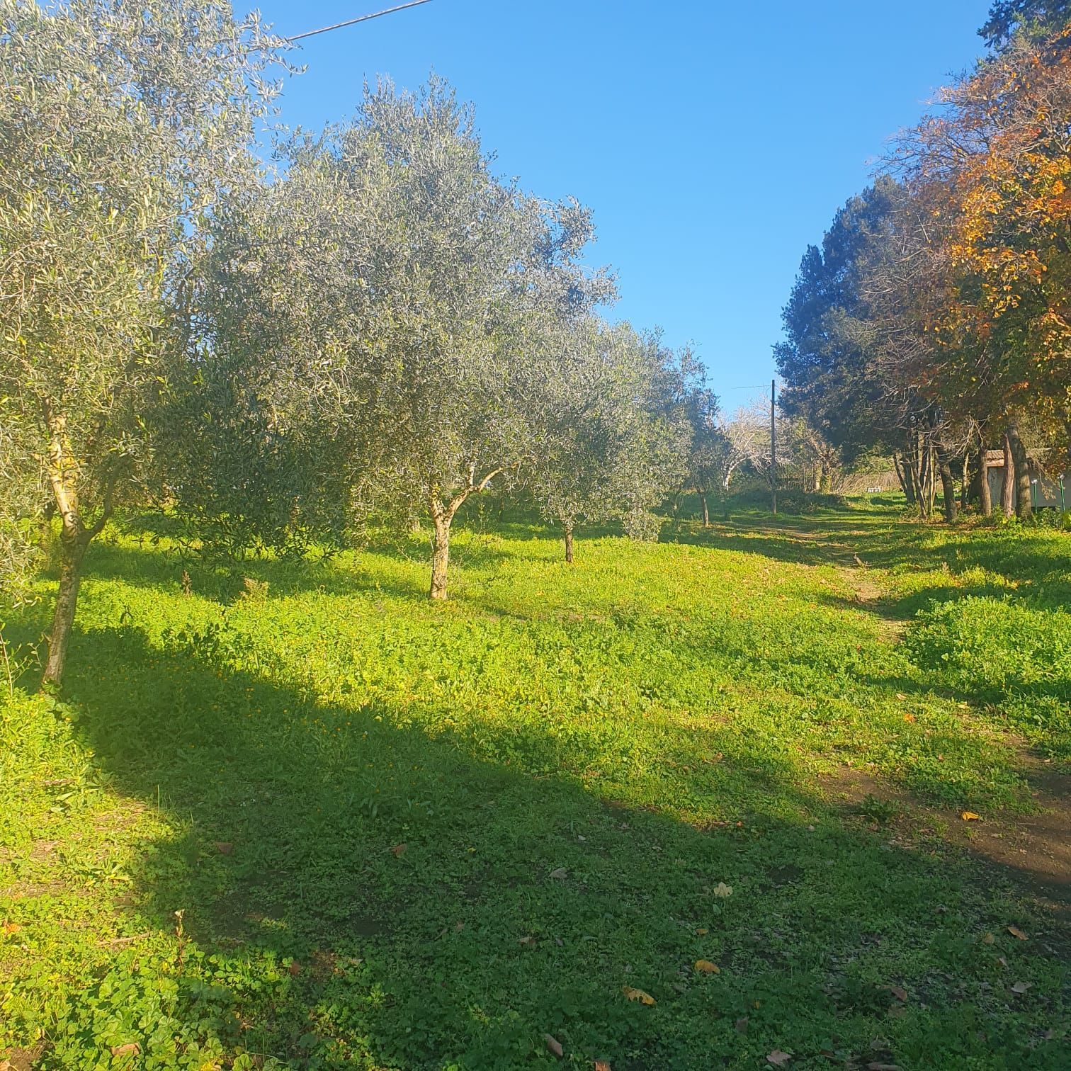 Campeggio nella natura