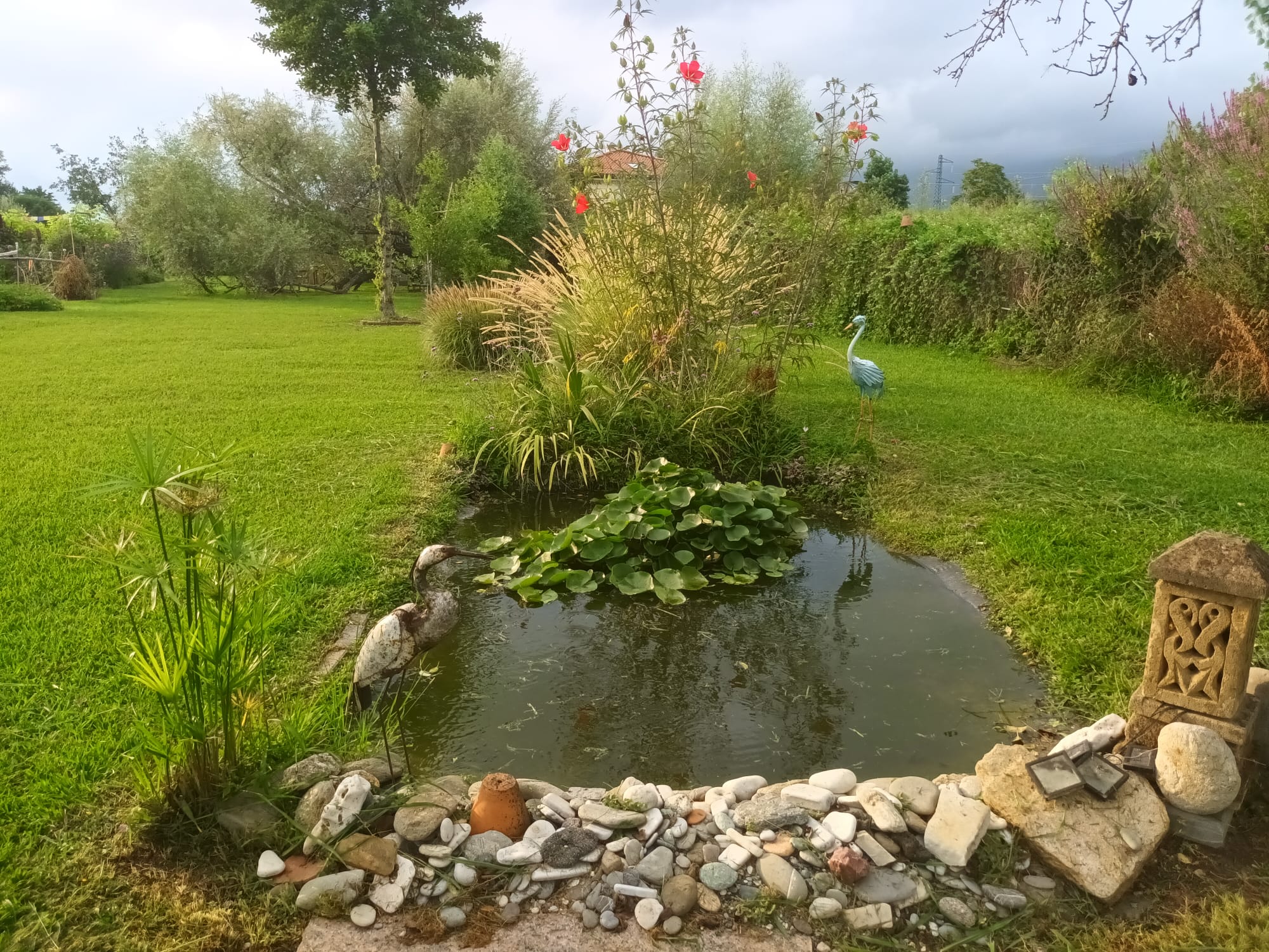 GiardinOrto Forte dei Marmi: Relax, mare e discipline olistiche