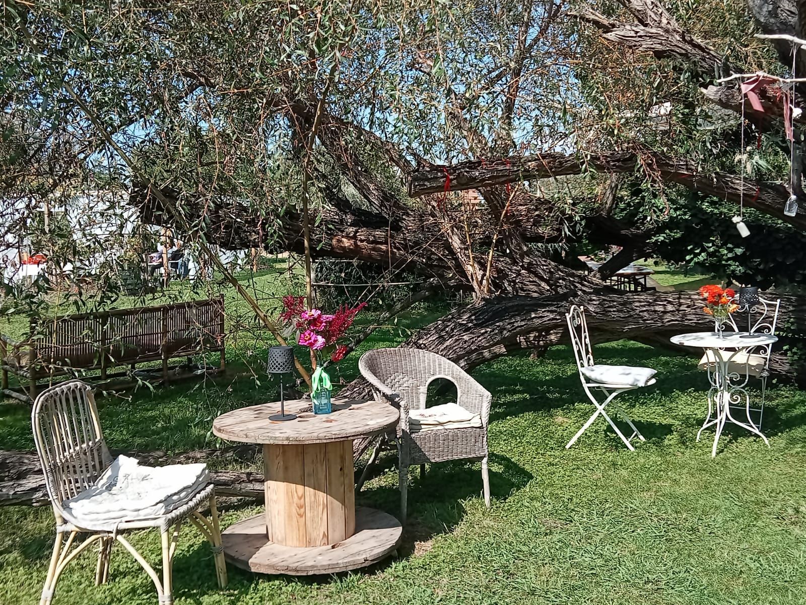 GiardinOrto Forte dei Marmi: Relax, mare e discipline olistiche