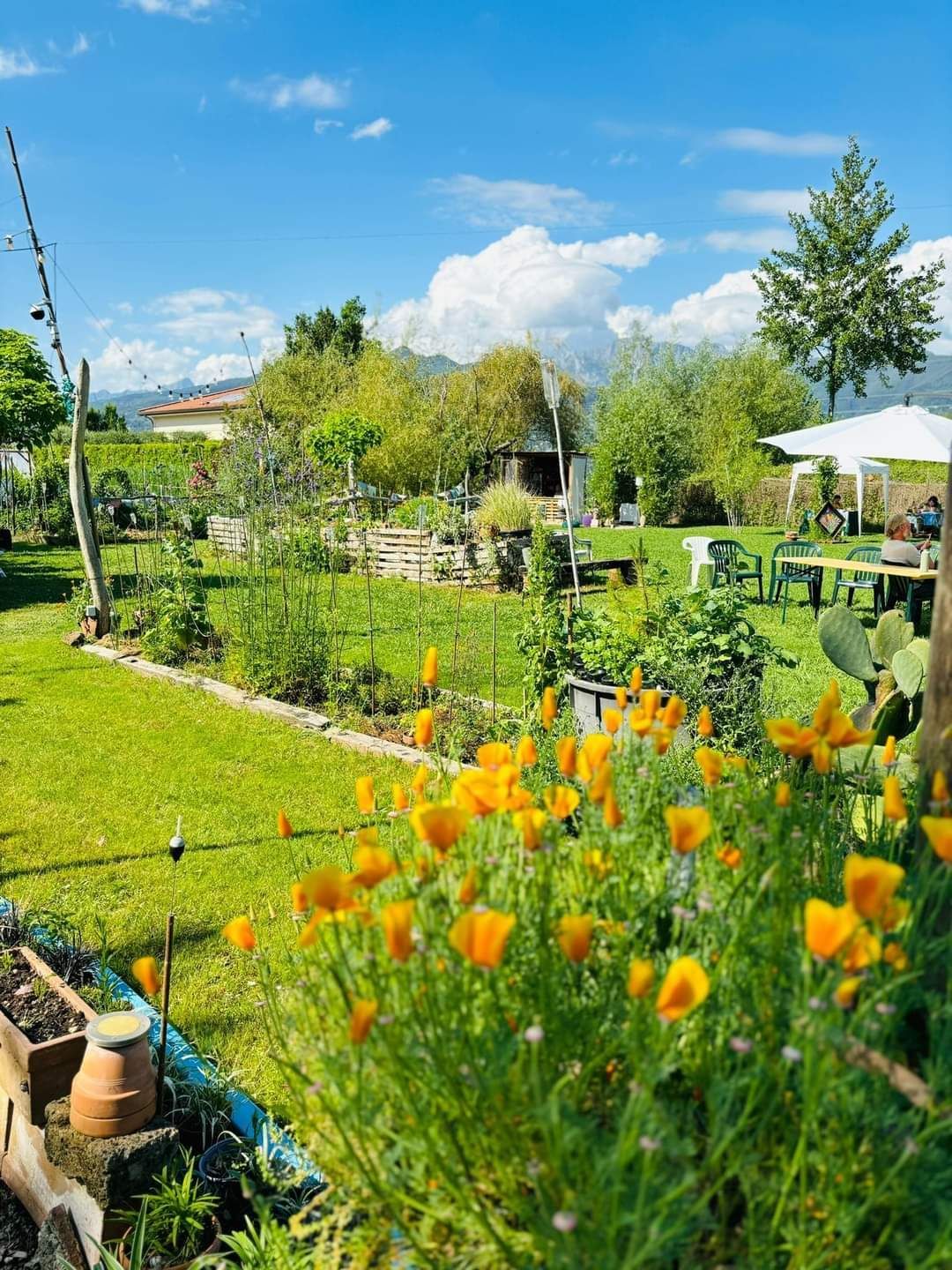 GiardinOrto Forte dei Marmi: Relax, mare e discipline olistiche