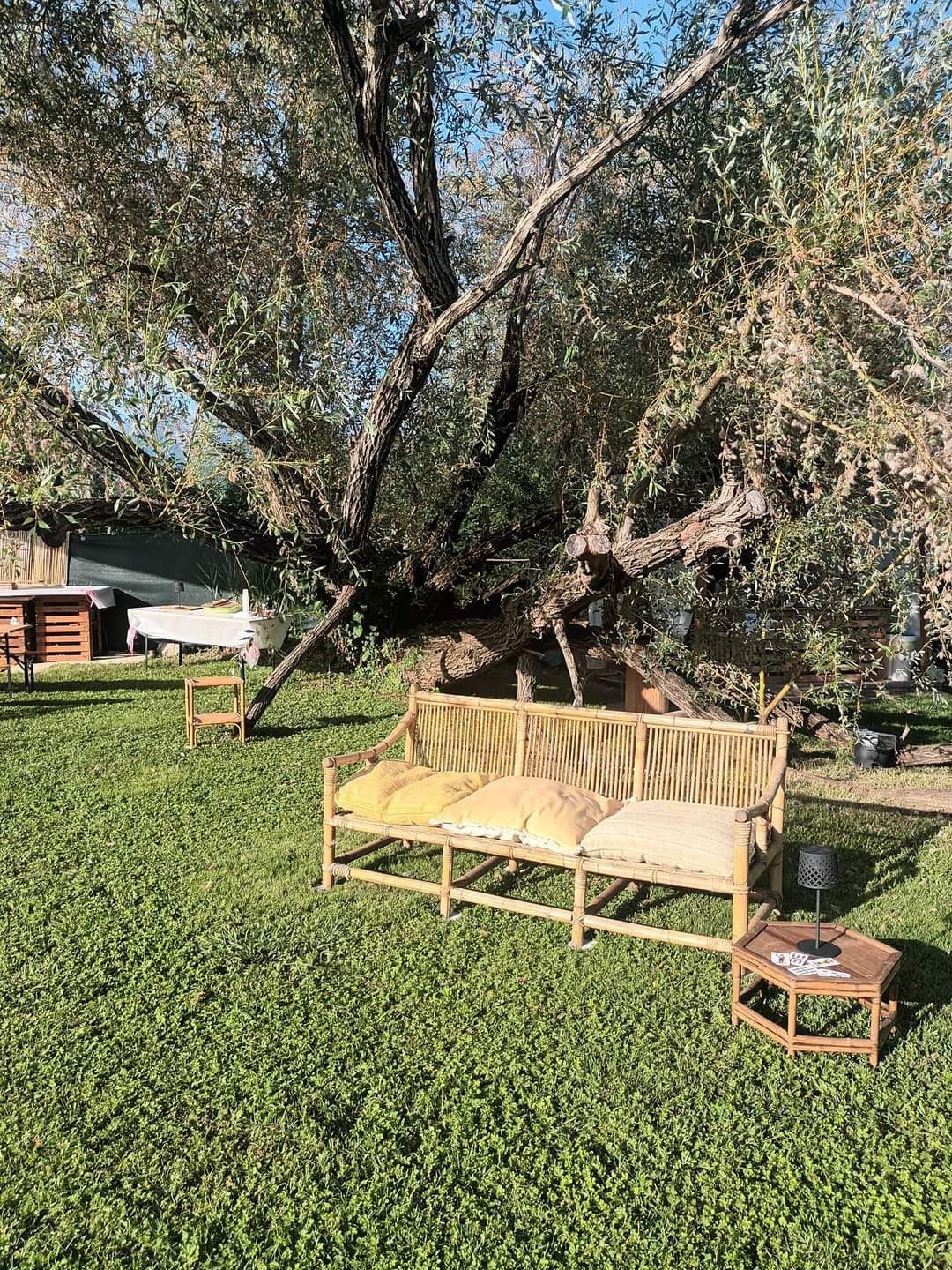GiardinOrto Forte dei Marmi: Relax, mare e discipline olistiche