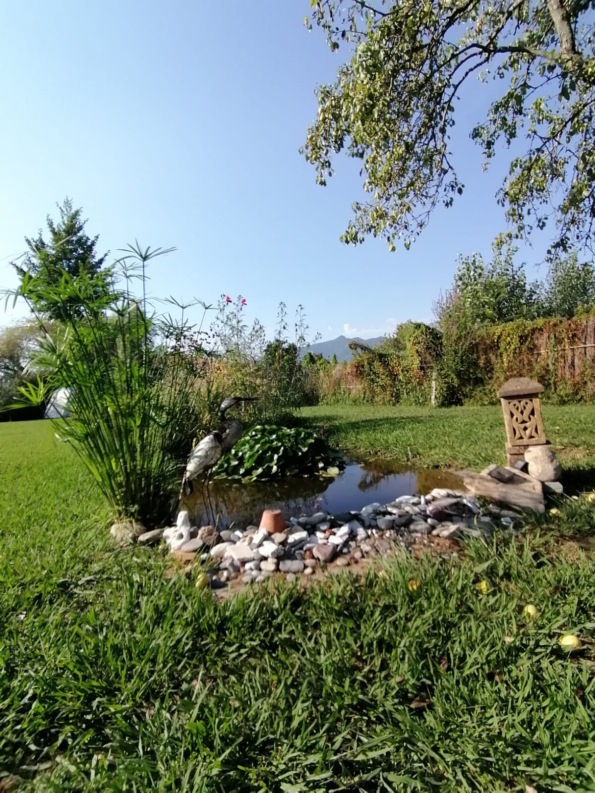 GiardinOrto Forte dei Marmi: Relax, mare e discipline olistiche