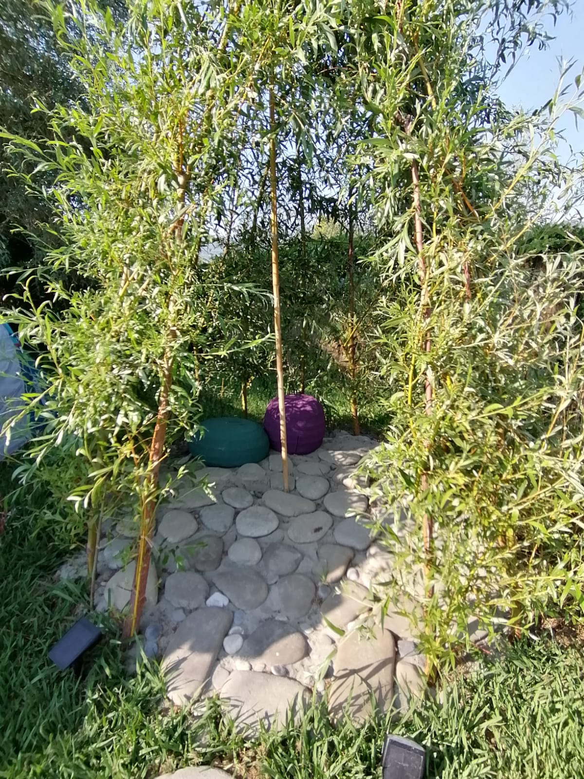 GiardinOrto Forte dei Marmi: Relax, mare e discipline olistiche