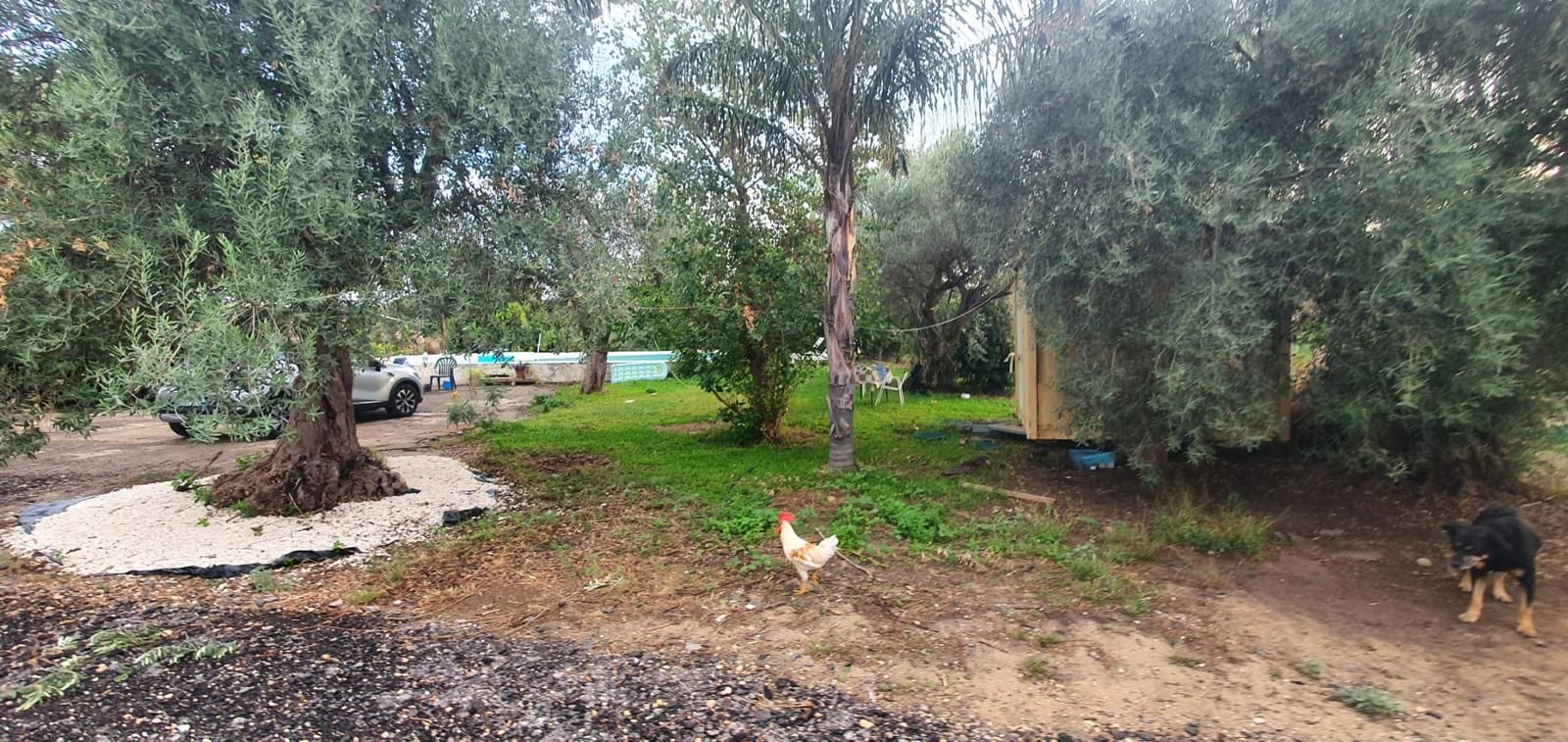 Relax rurale in Sicilia: piazzole verdi per camper e tenda a due passi da Siracusa