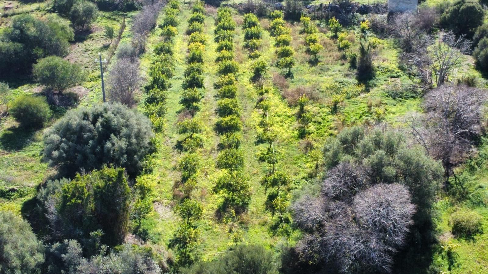 Relax rurale in Sicilia: piazzole verdi per camper e tenda a due passi da Siracusa