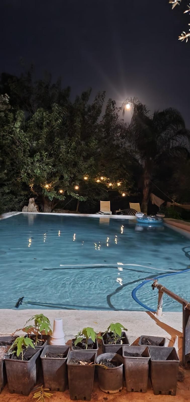 Relax rurale in Sicilia: piazzole verdi per camper e tenda a due passi da Siracusa