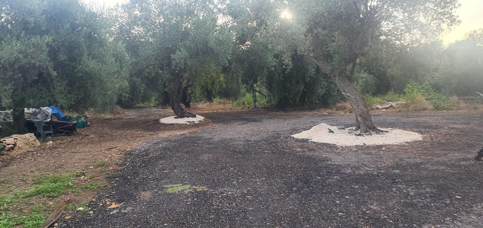 Relax rurale in Sicilia: piazzole verdi per camper e tenda a due passi da Siracusa