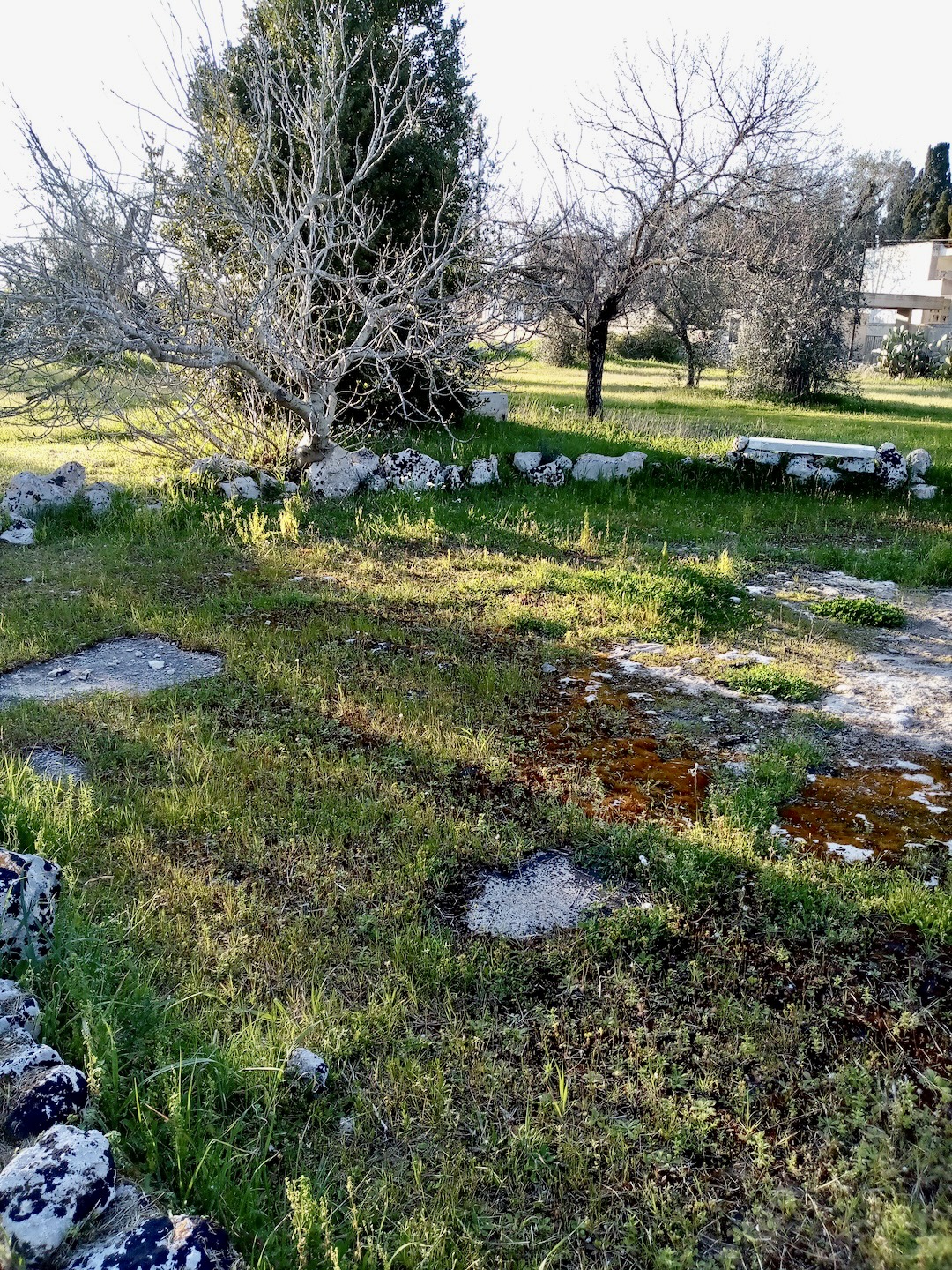 Oasi Naturale tra Pineta e Piana a Giuggianello, Lecce
