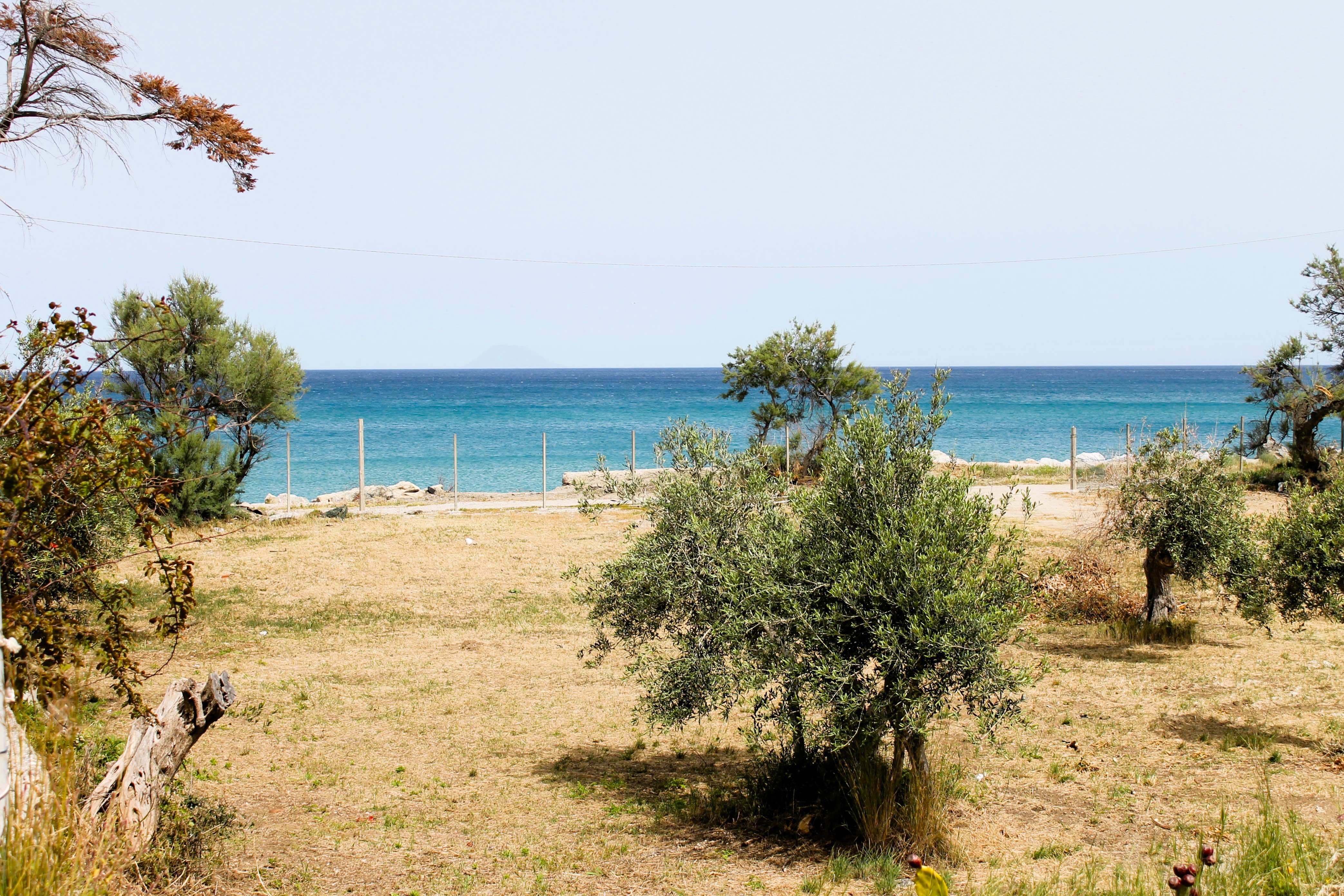 Messina seaside garden