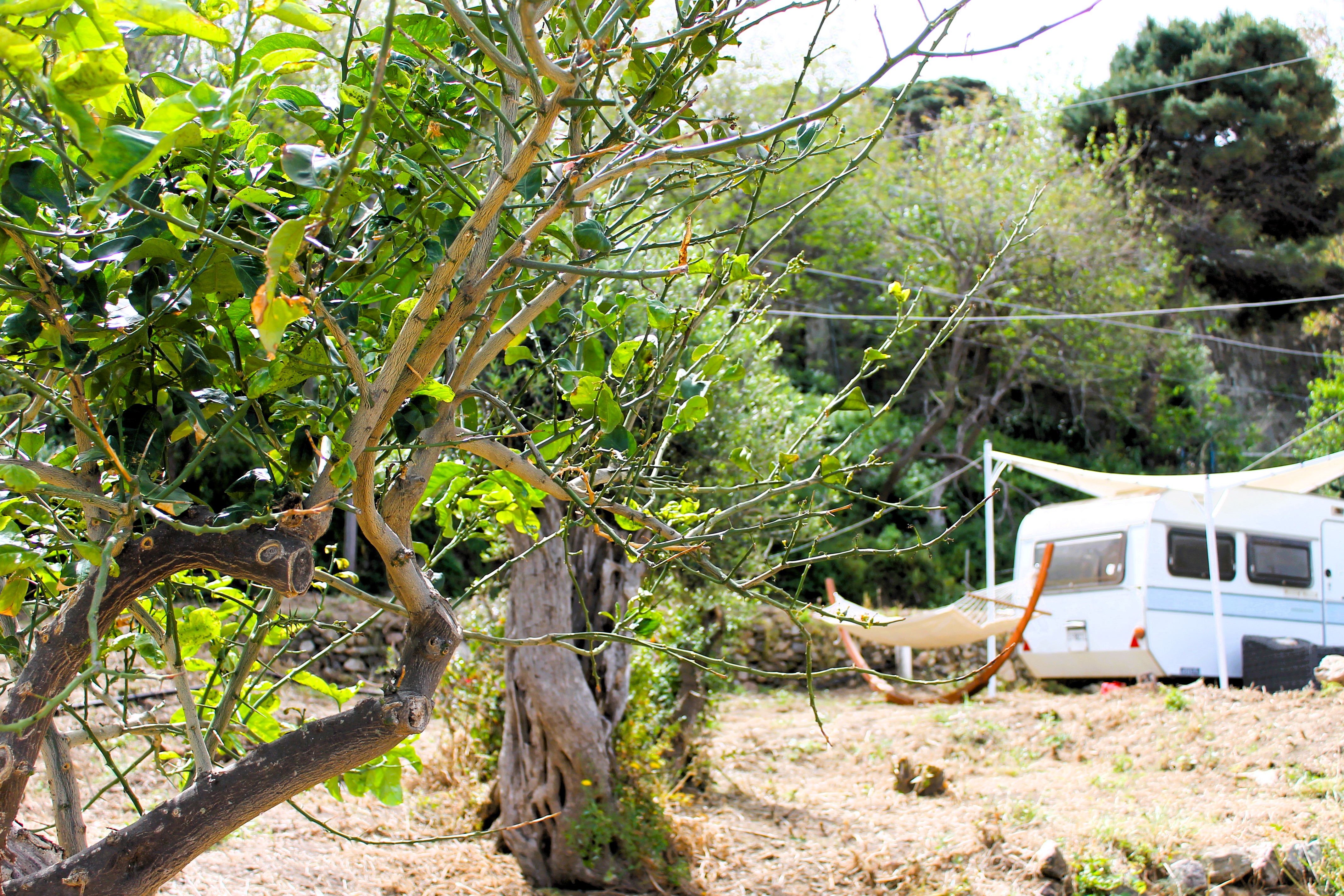 Messina seaside garden