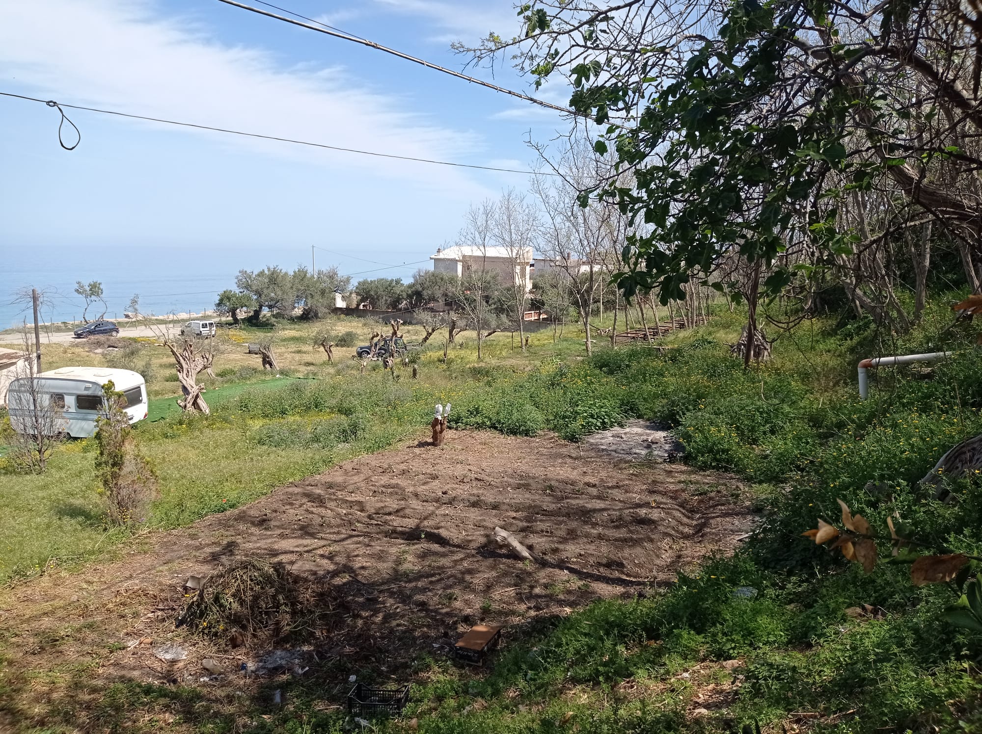 Messina seaside garden