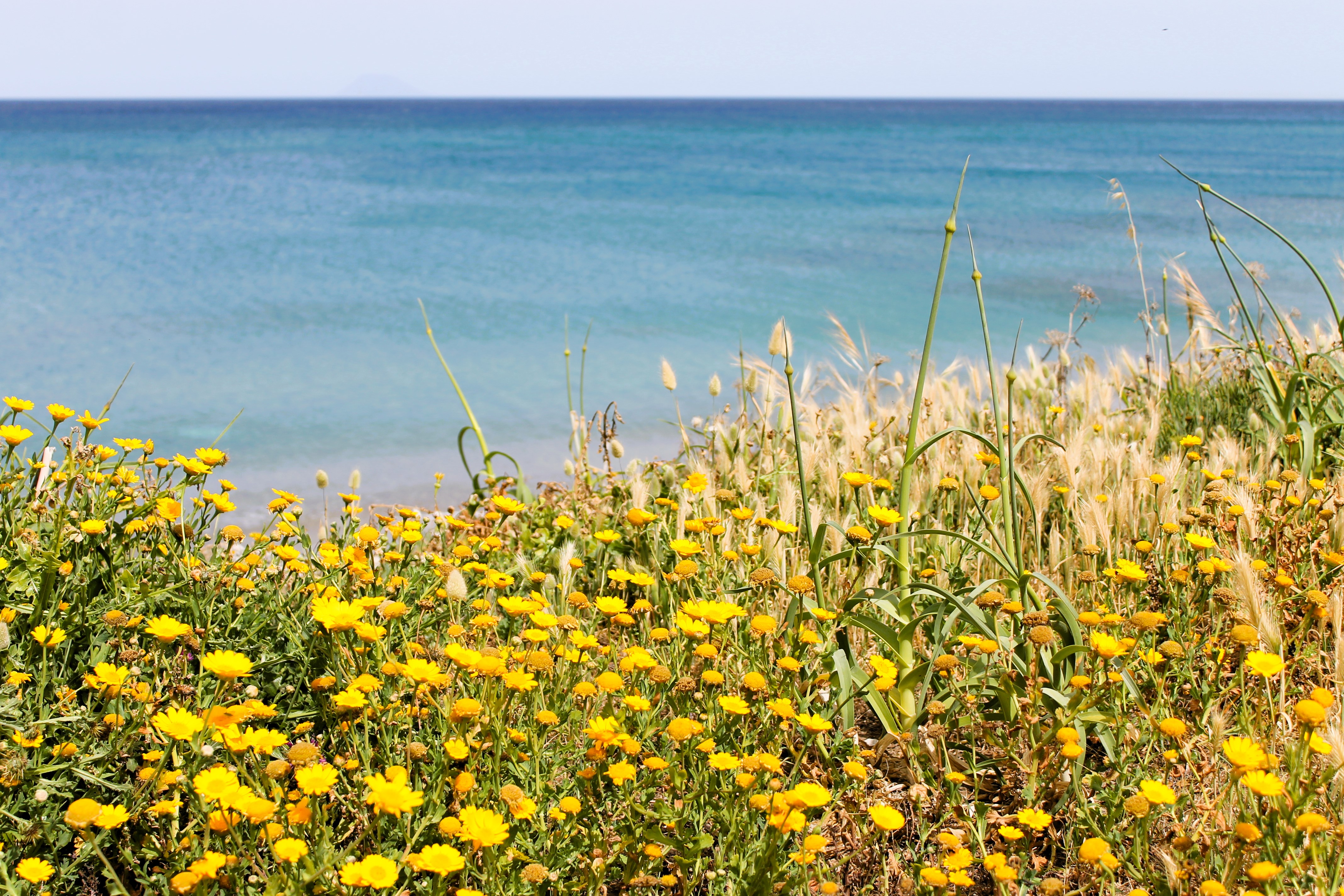 Messina seaside garden