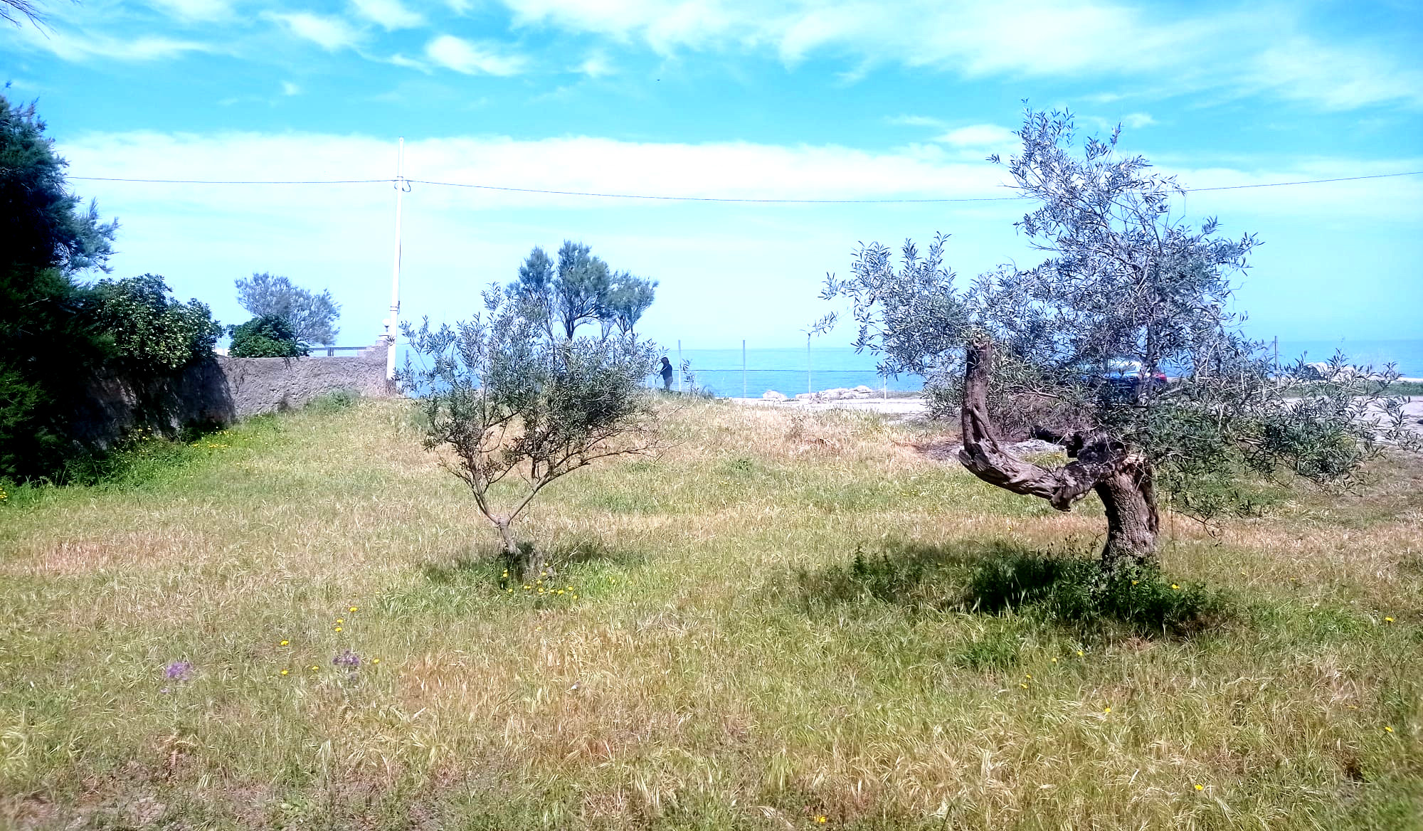 Messina seaside garden