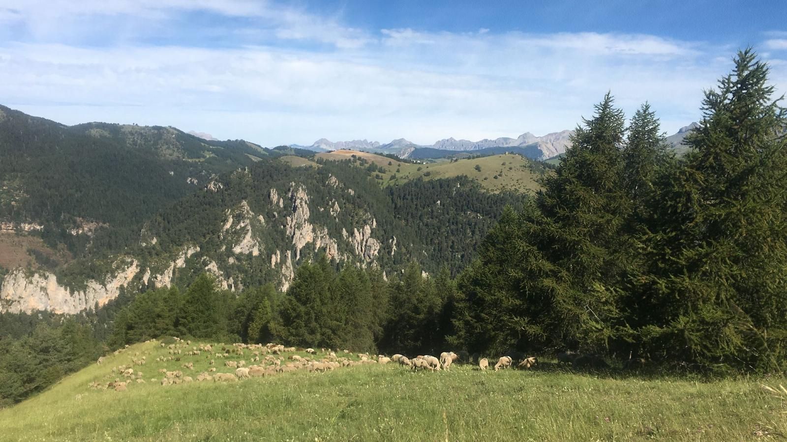 Camping e molto altro nell’ ecovillaggio tra i due fiumi a Potenza