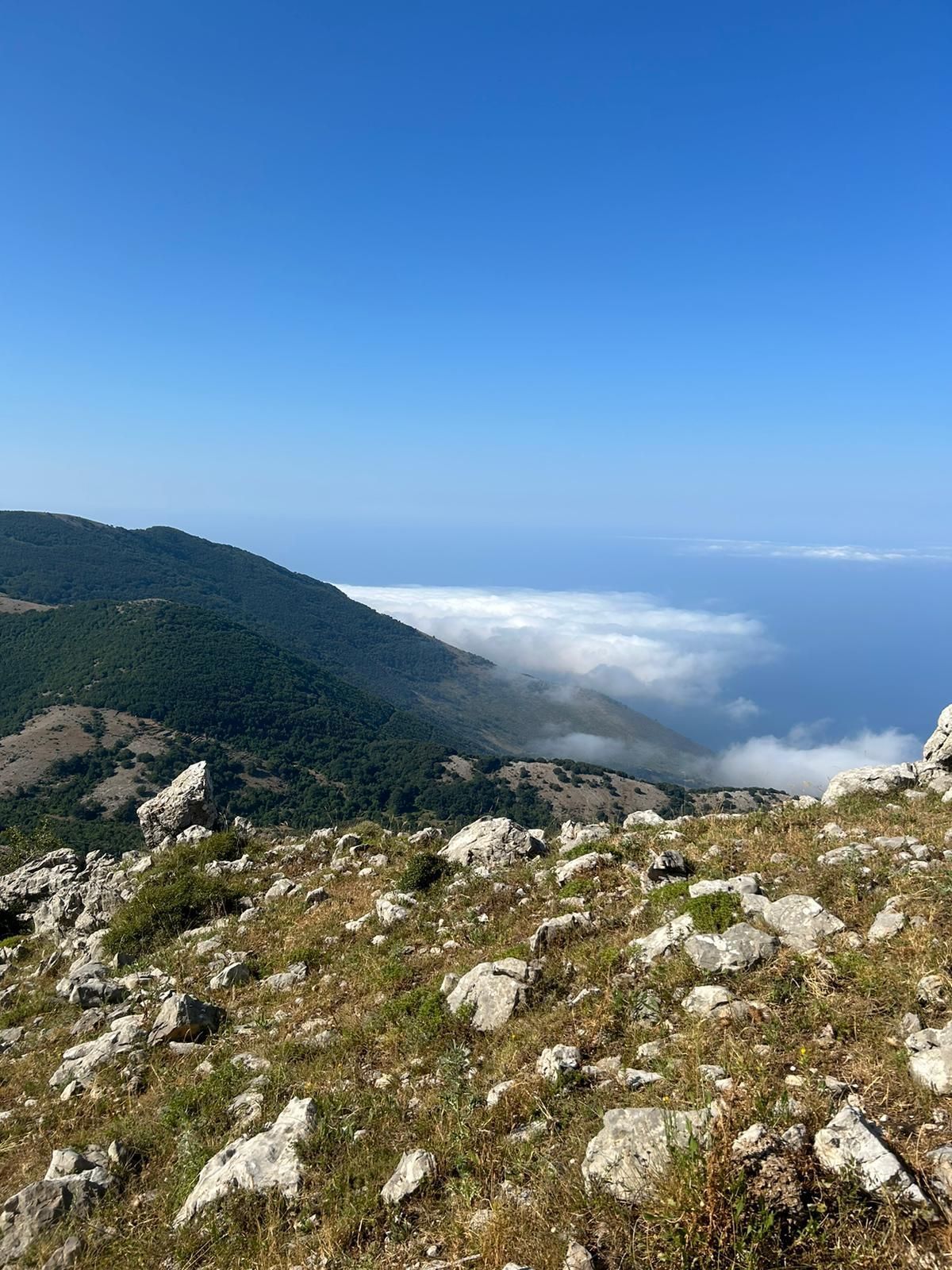 Camping e molto altro nell’ ecovillaggio tra i due fiumi a Potenza