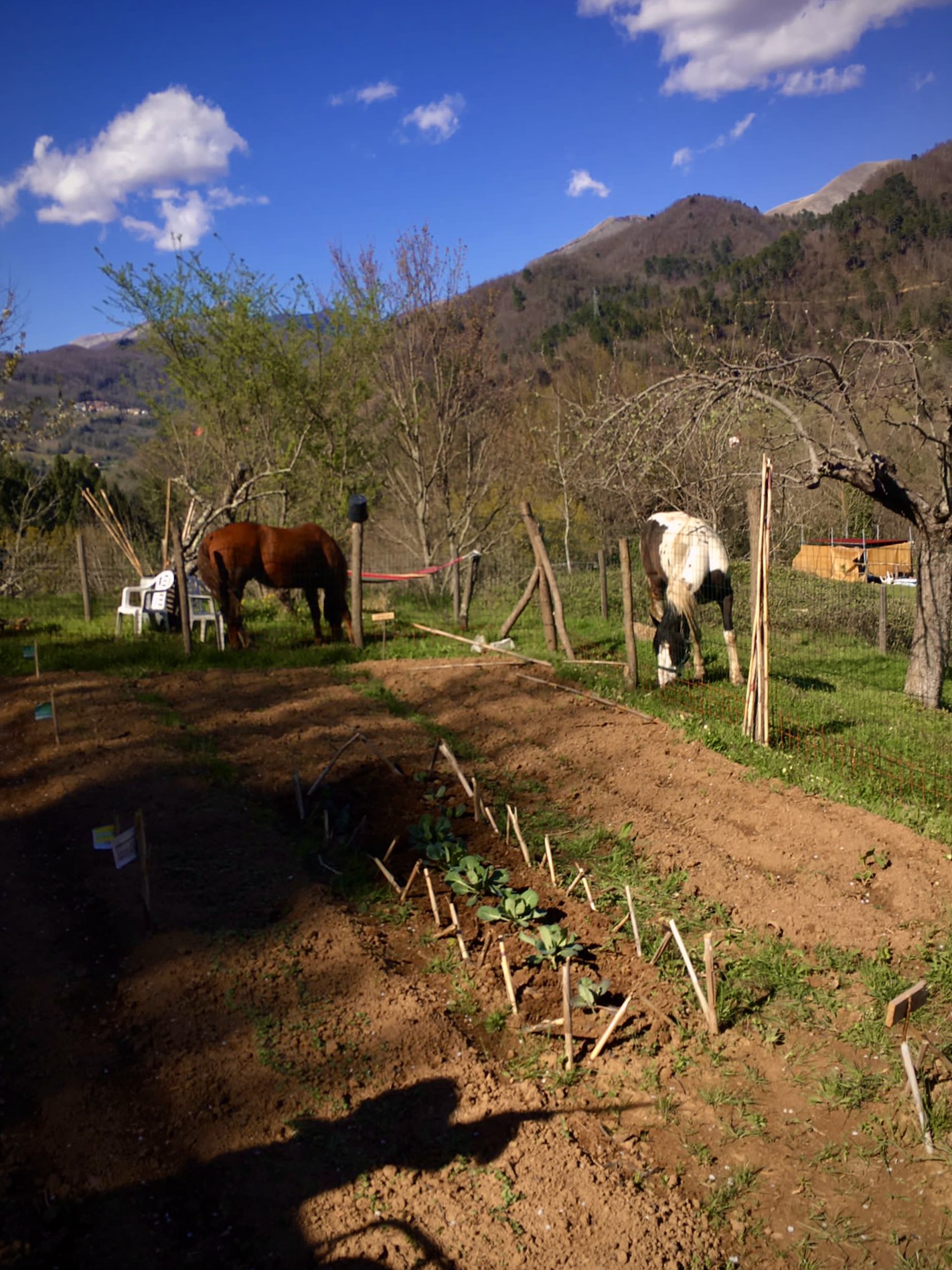 Spazio verde per tende a Lucca