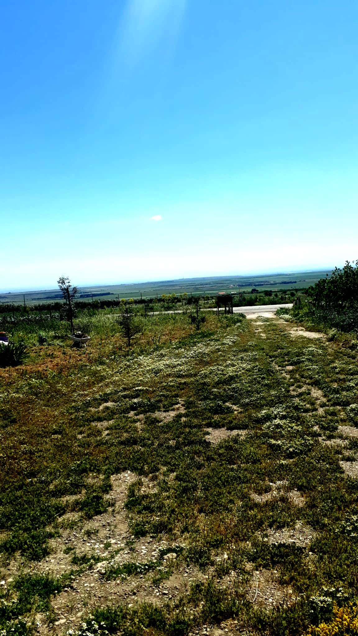 Parking area in the Gargano