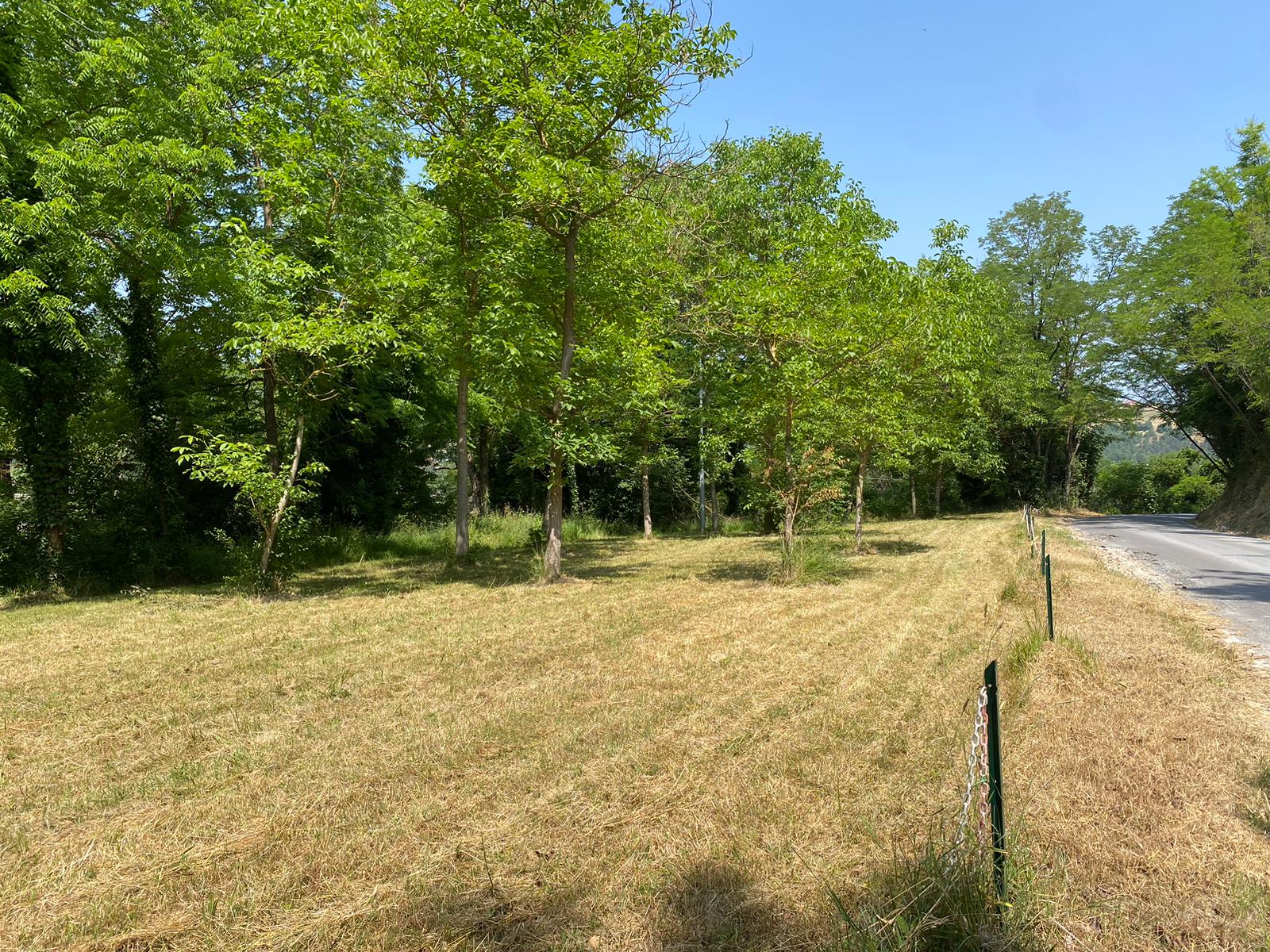 Lawn in the open countryside in Pesaro Urbino