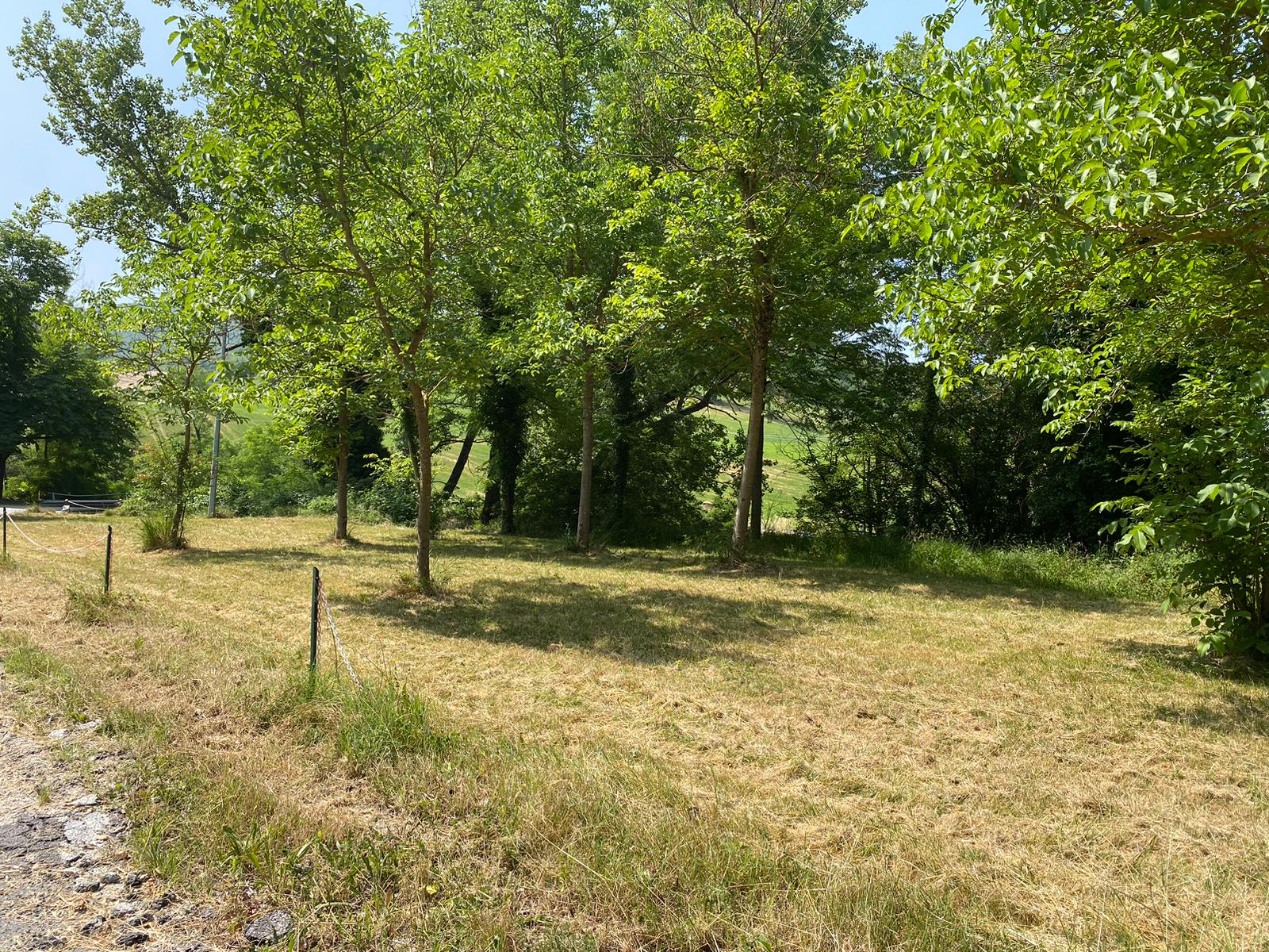 Lawn in the open countryside in Pesaro Urbino