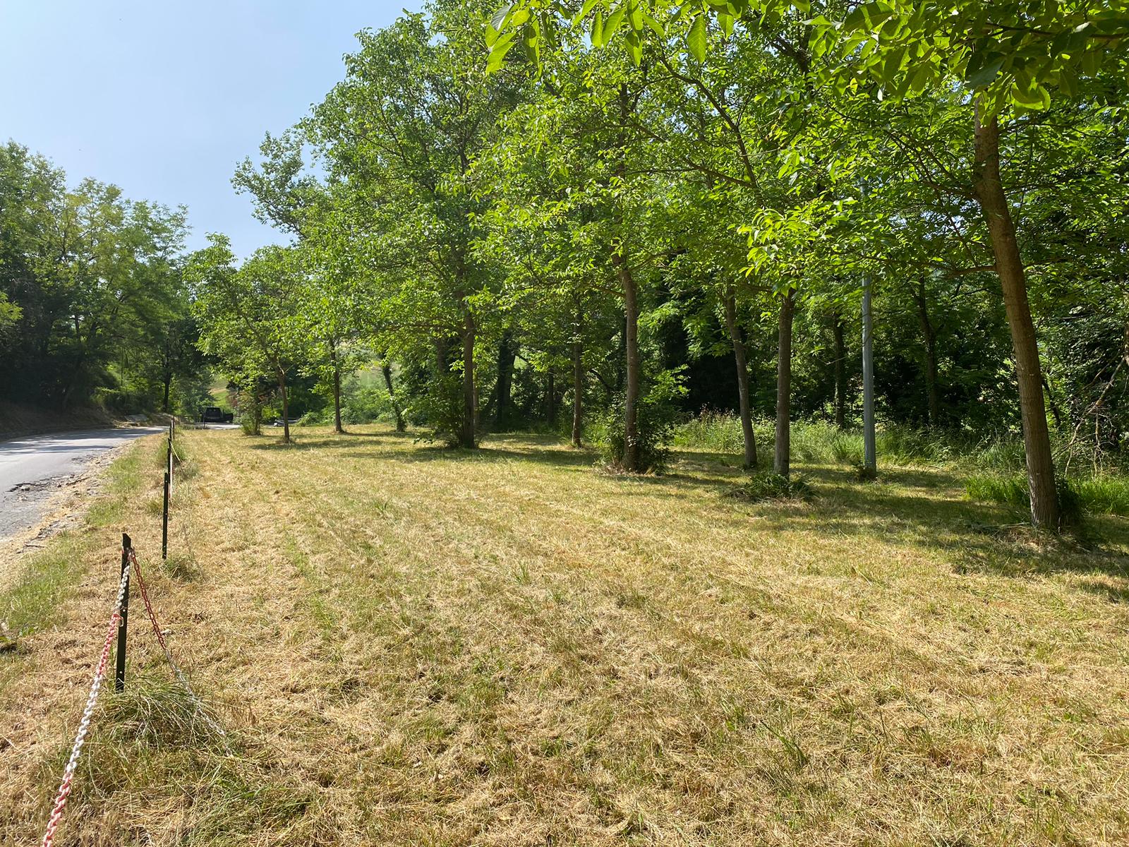 Lawn in the open countryside in Pesaro Urbino
