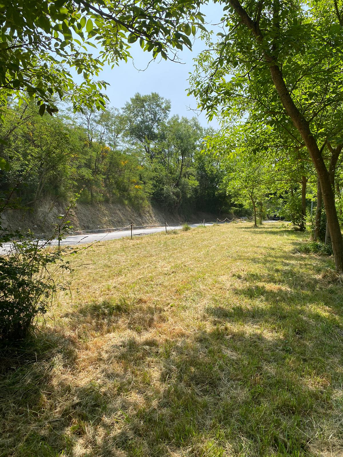 Lawn in the open countryside in Pesaro Urbino