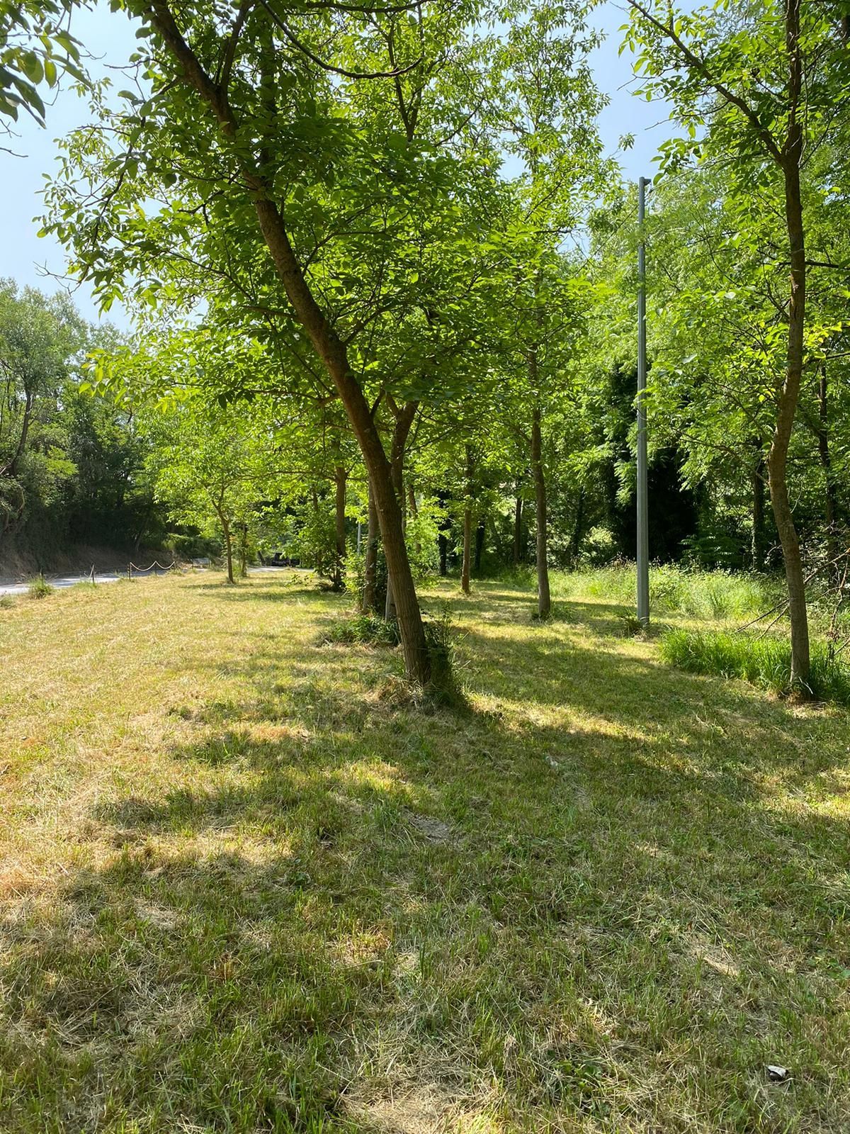 Lawn in the open countryside in Pesaro Urbino