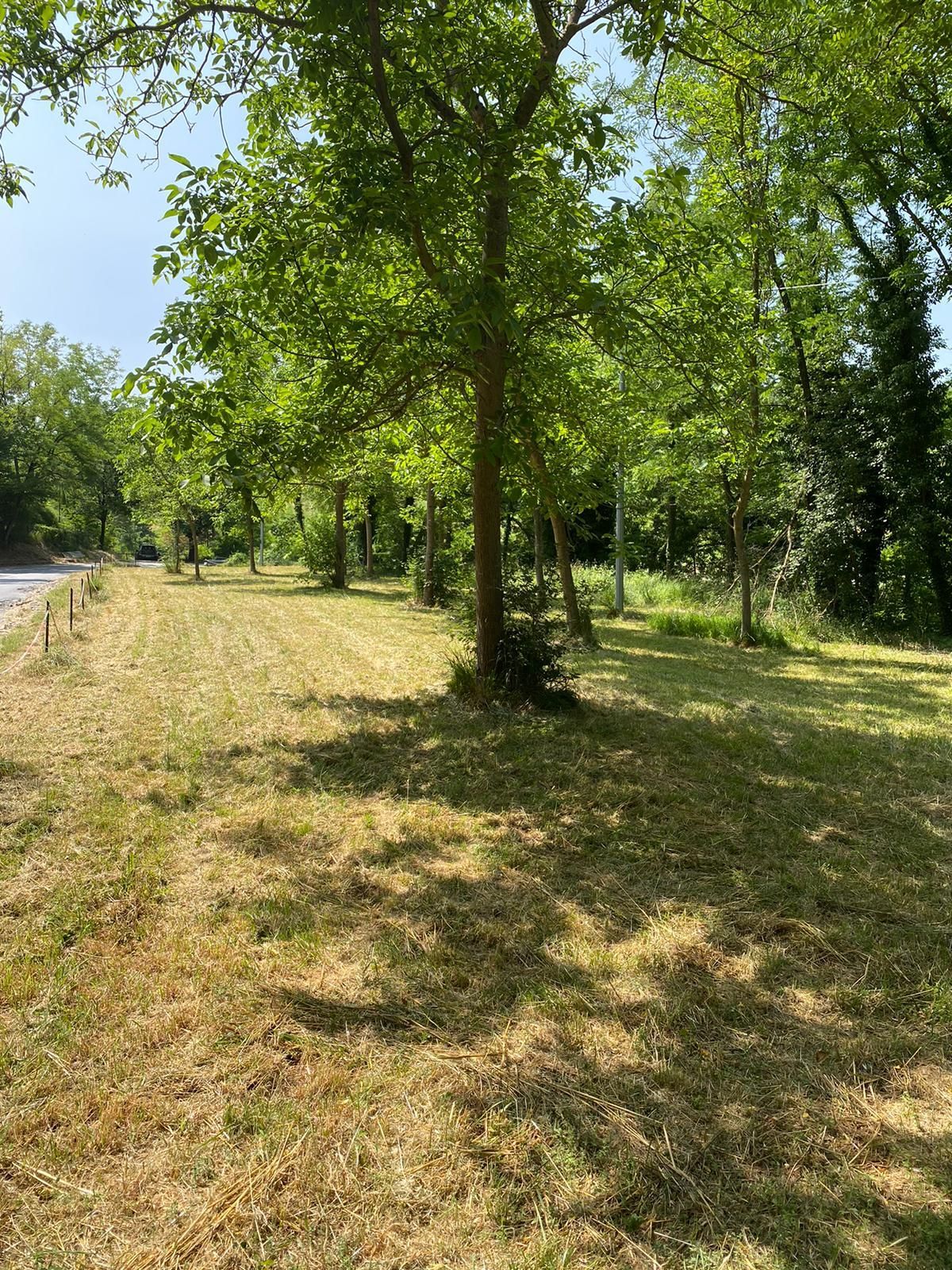 Lawn in the open countryside in Pesaro Urbino