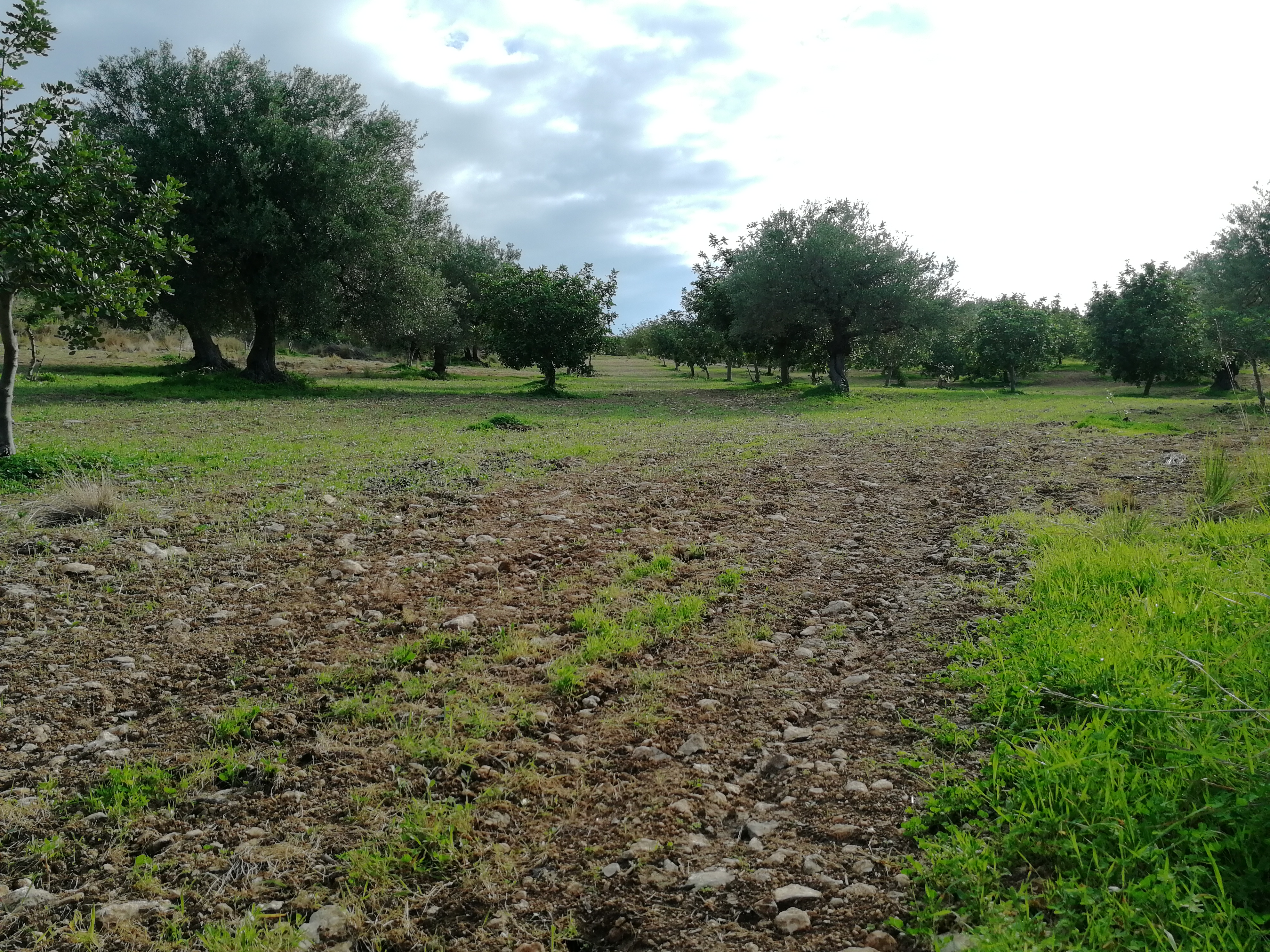 Area Sosta in mezzo alla natura in Sicilia