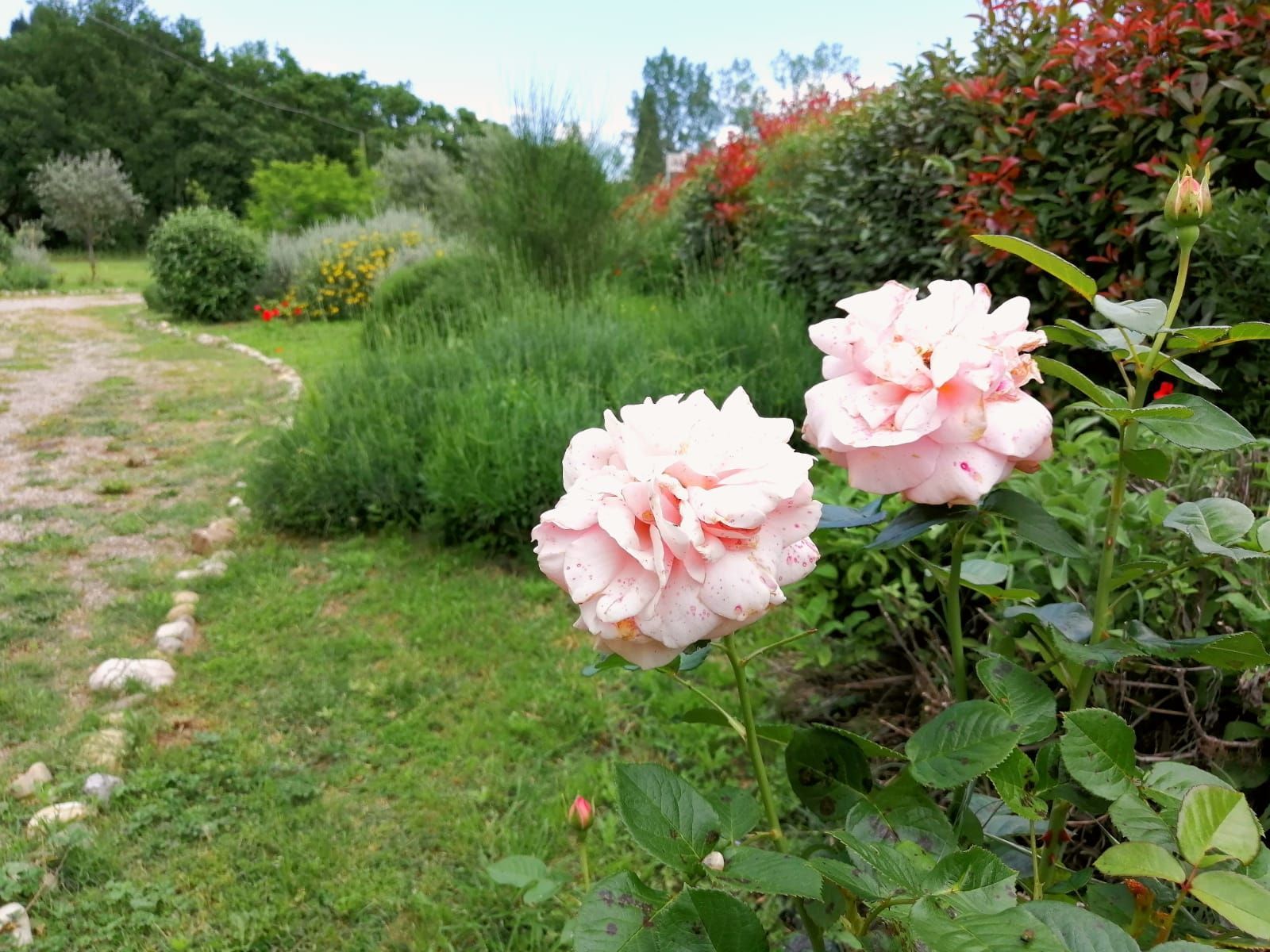 La Casa Gialla a stone's throw from Siena