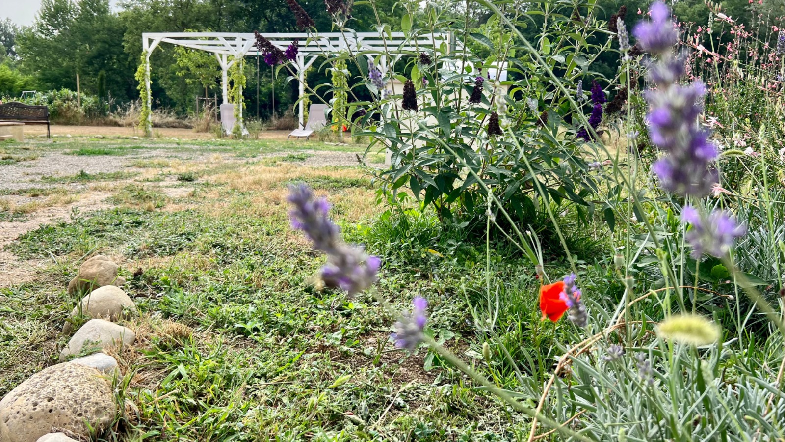La Casa Gialla a due passi da Siena