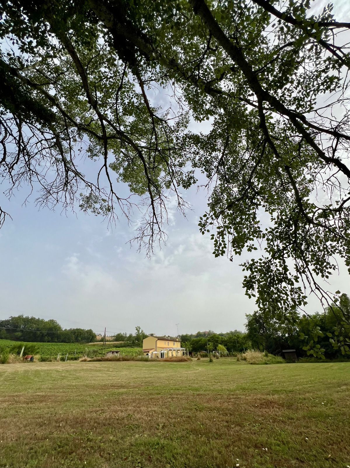 La Casa Gialla a due passi da Siena