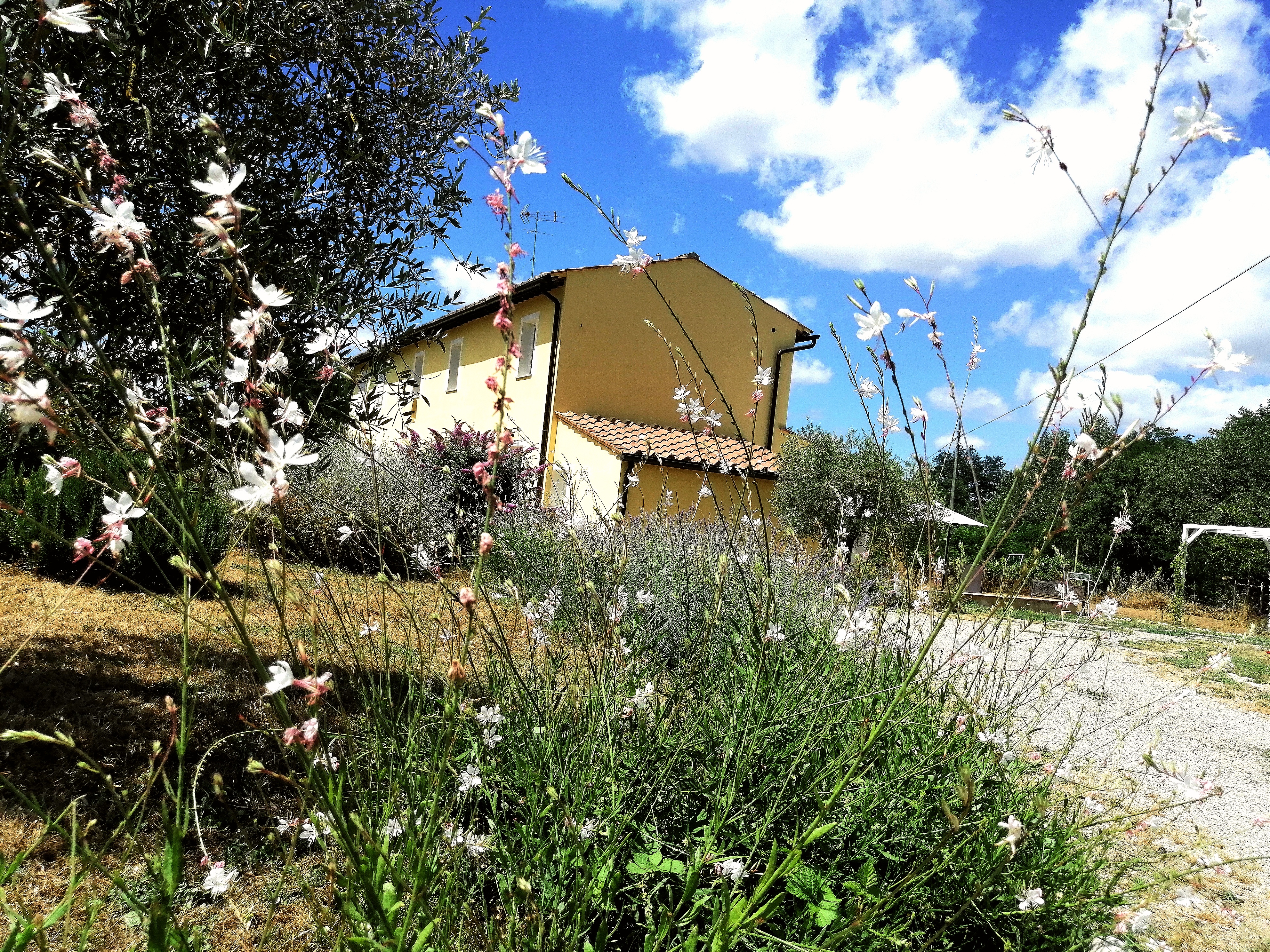 La Casa Gialla a due passi da Siena