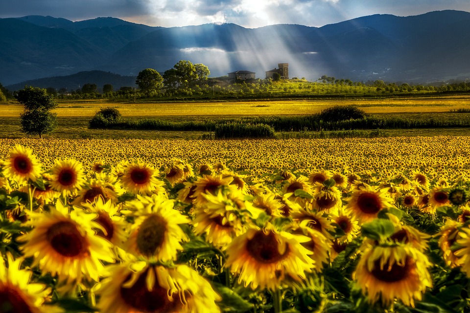 Sosta nella natura in provincia di Latina